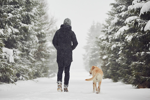 woman walking in snow with dog in tahoe donner