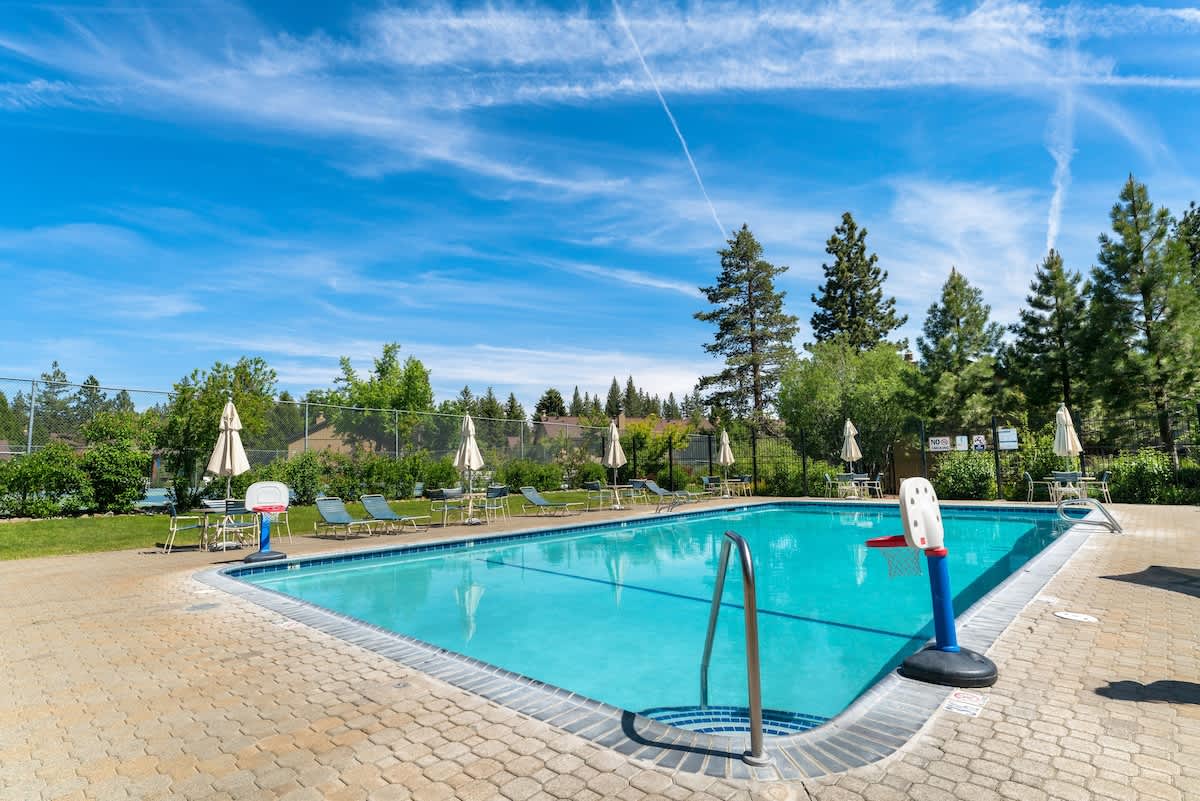 Outdoor pool at a vacation rental in Tahoe City, surrounded by trees and lounge chairs under a clear blue sky.