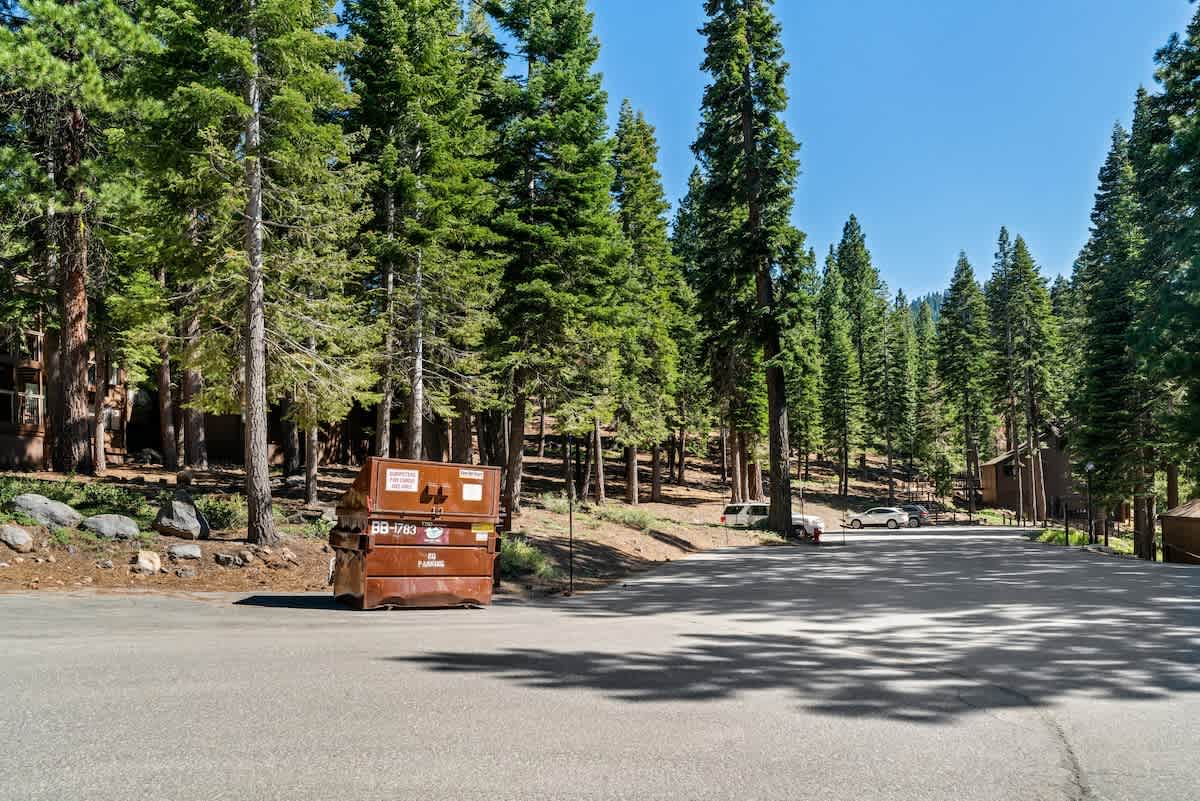 Vacation rental in Truckee with forested driveway and parked cars under tall pine trees.