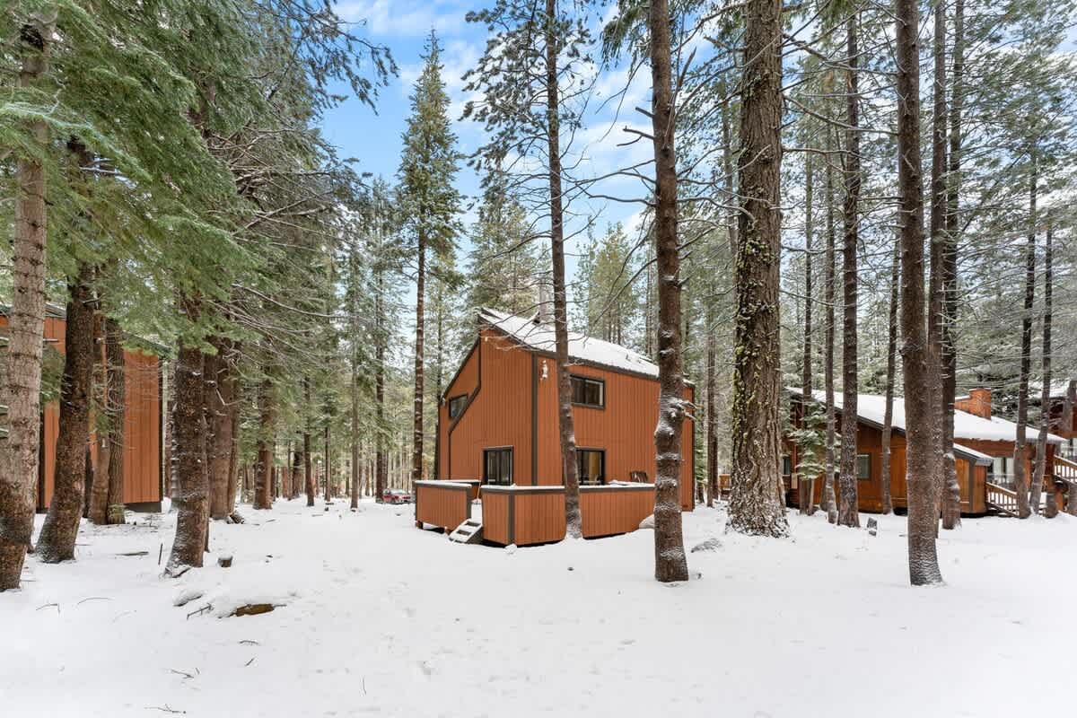 Cozy cabin vacation rental in snowy Truckee forest, surrounded by tall trees and peaceful winter scenery.