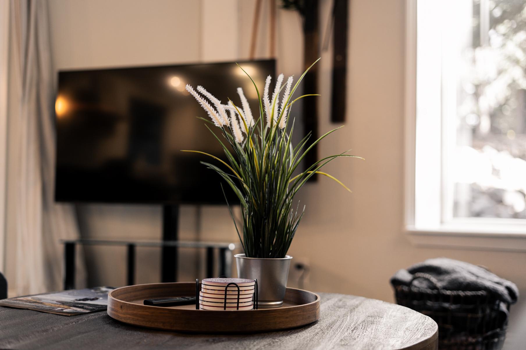 Modern living room in Tahoe Vista vacation rental with plant decor, TV, and cozy ambiance.