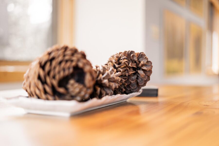 Pinecones in a tray on a wooden table at a Truckee vacation rental, with soft light coming through the window.