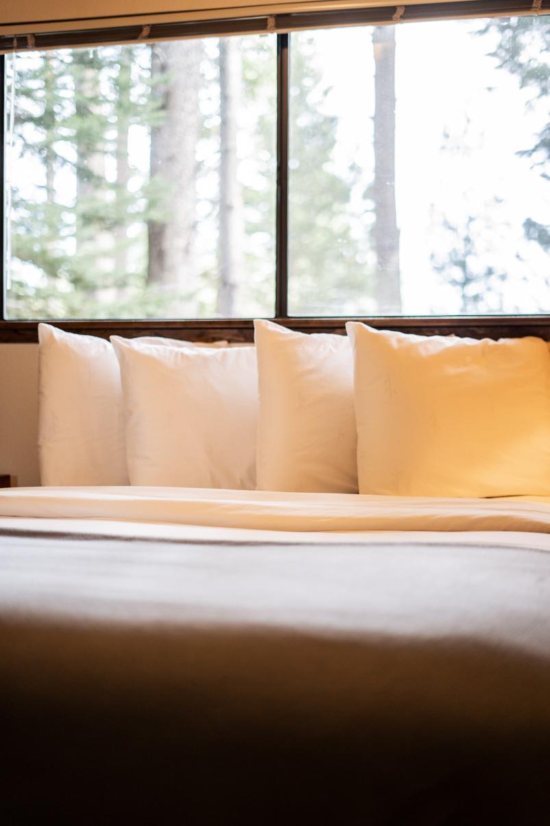 Cozy bedroom with white pillows and forest view from window in Truckee vacation rental.