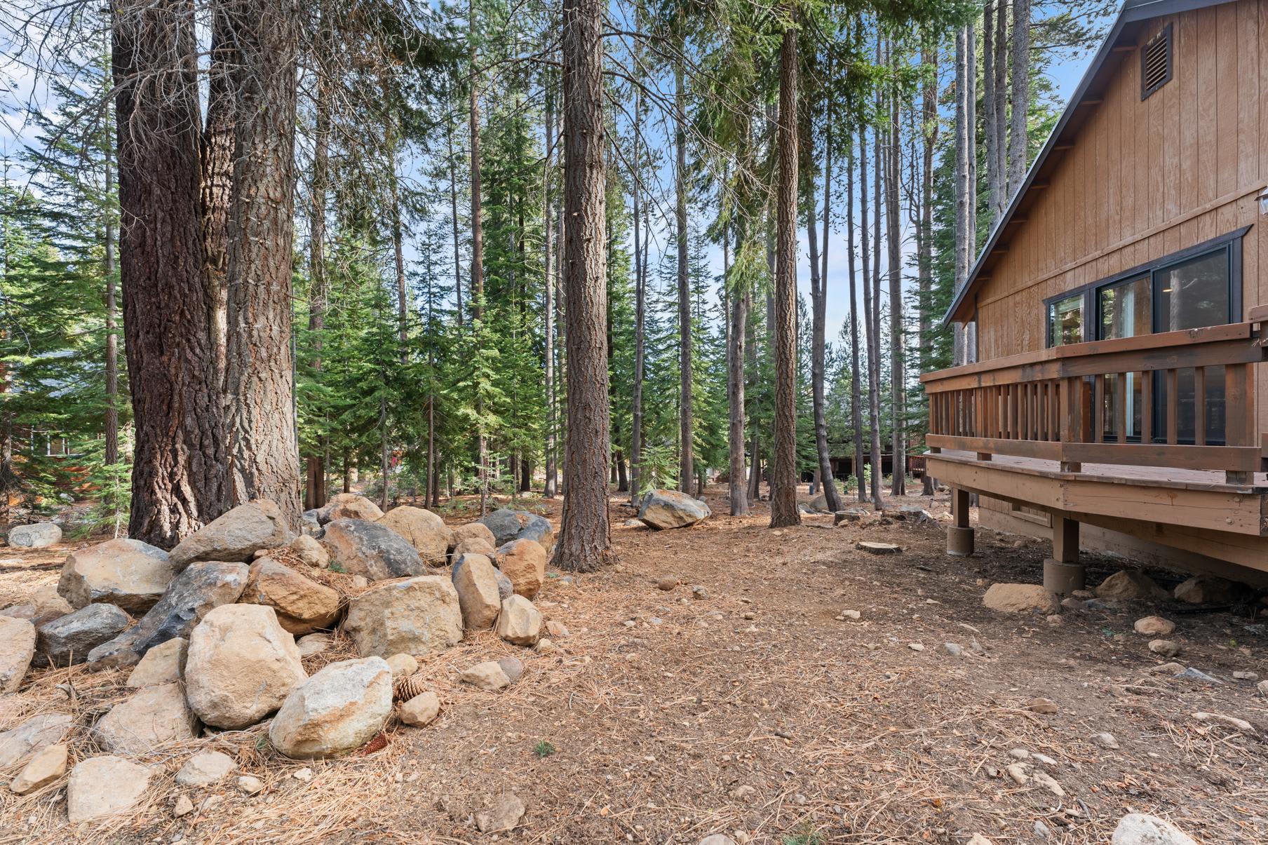 Vacation rental in Truckee with a rustic cabin surrounded by tall pine trees and rocks in a forest setting.