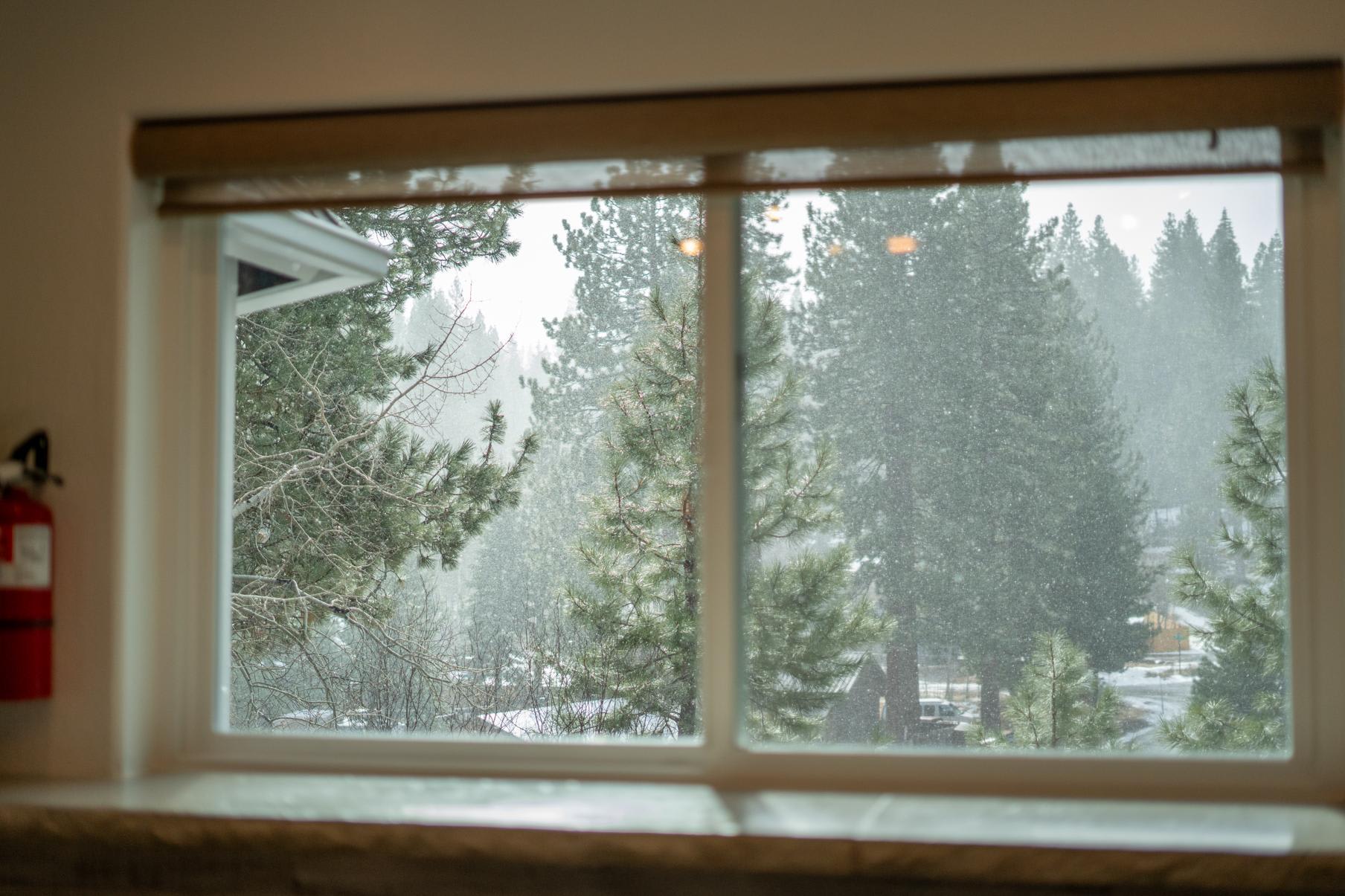 View of snow-dusted pine trees through a window in a Truckee vacation rental.