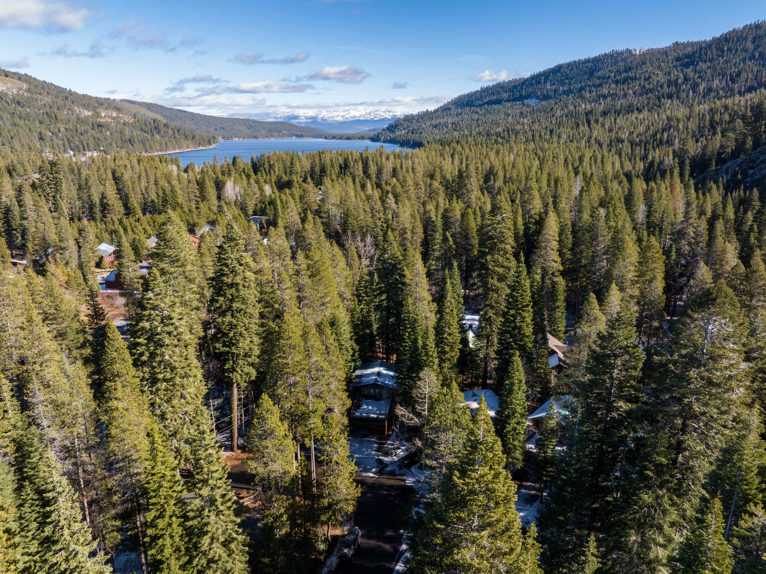 Aerial view of Truckee forest with vacation rentals nestled among trees and a lake in the background.
