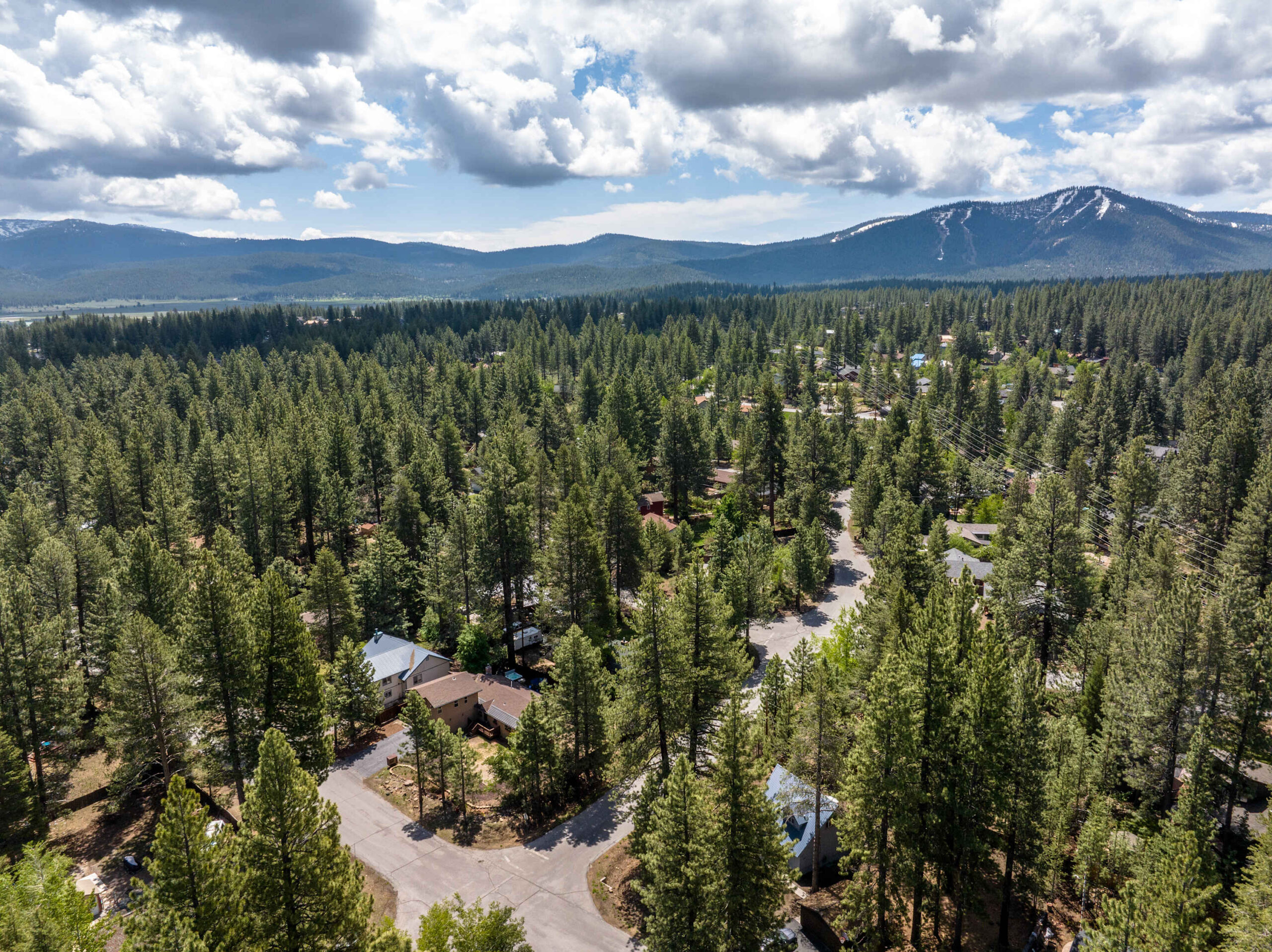 Aerial view of Truckee vacation rental homes nestled among tall pine trees, with mountains in the background.