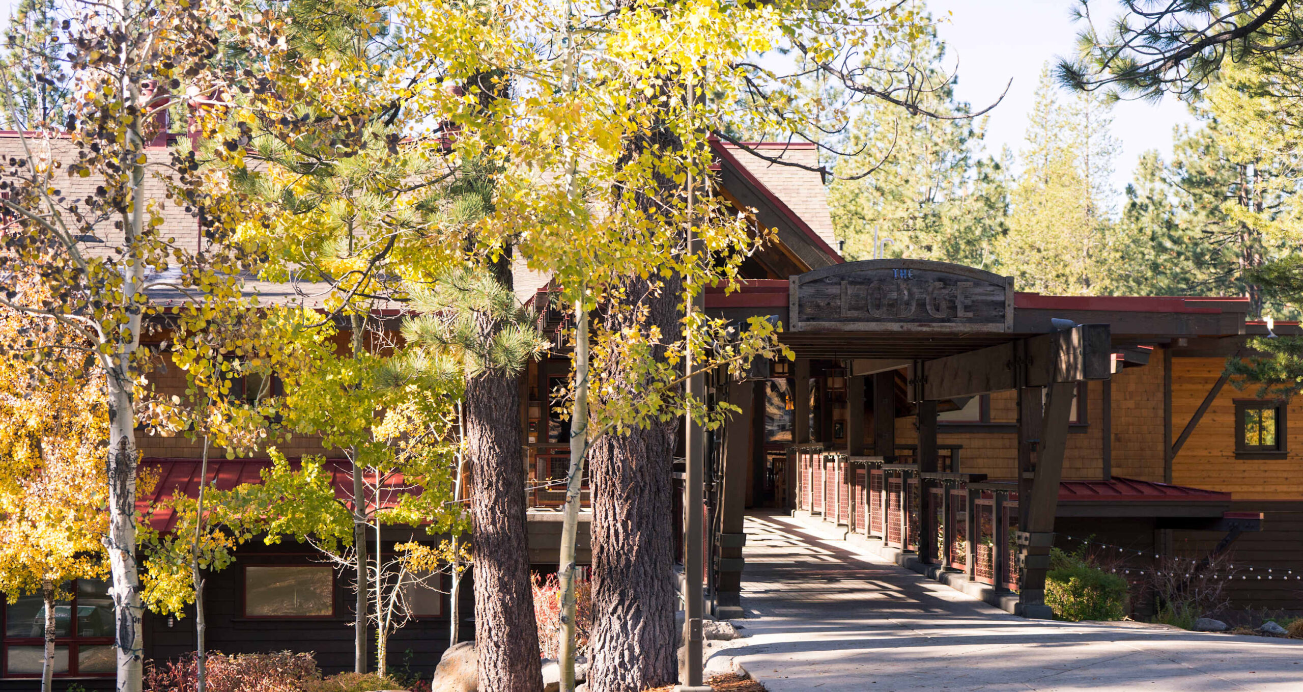 Wooden lodge nestled among trees in autumn, serving as a vacation rental in Truckee.