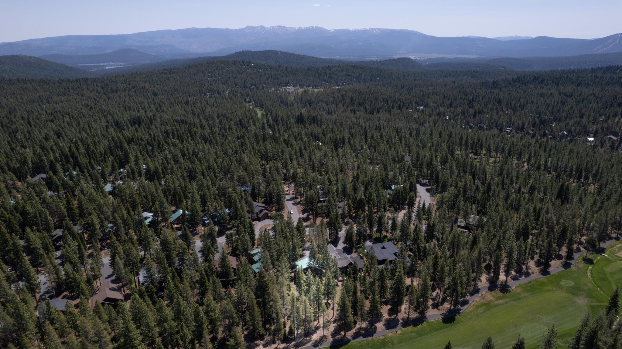Aerial view of a forested area with vacation rentals in Truckee, surrounded by trees and mountains.