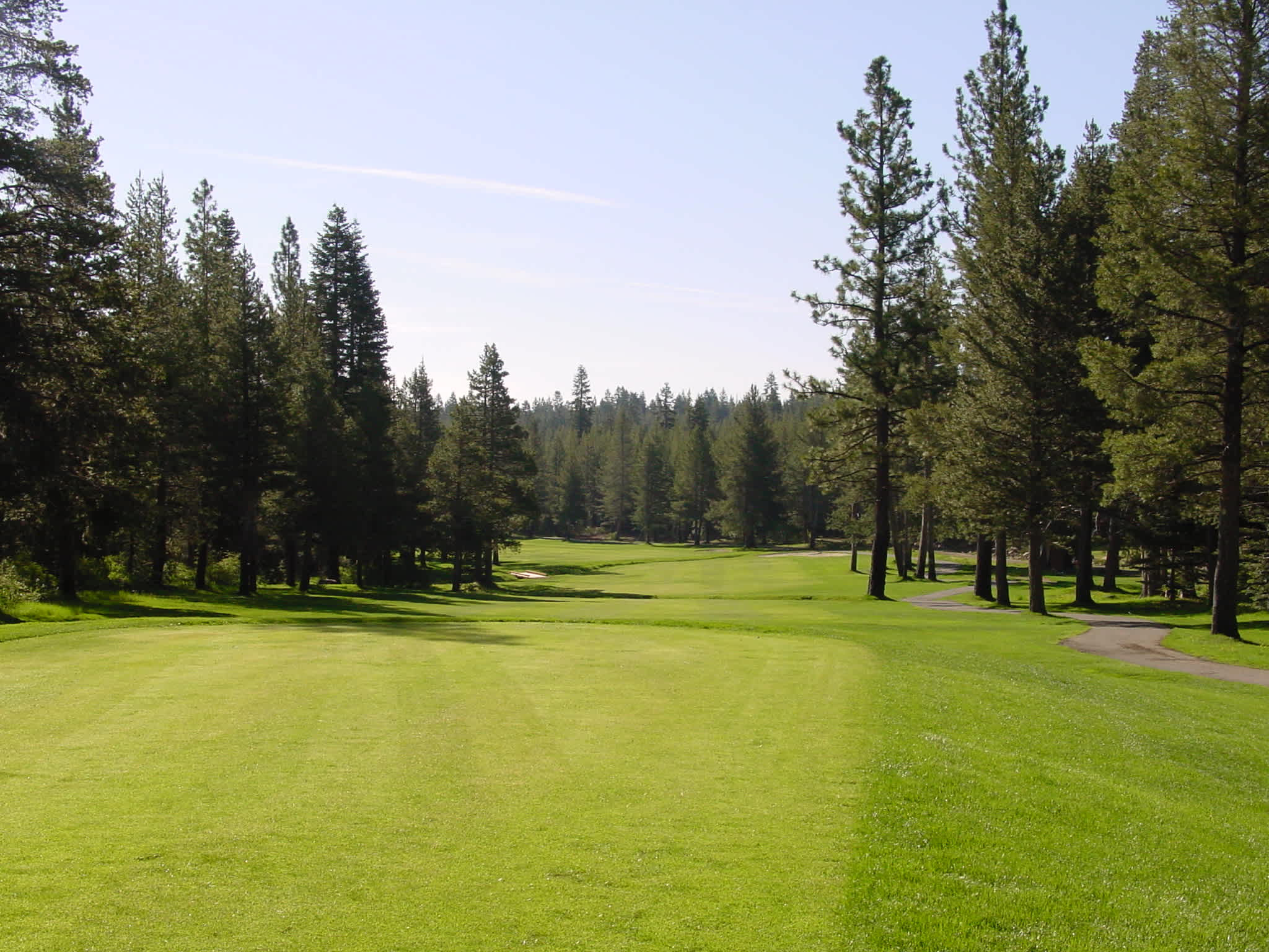 Sunny golf course near a vacation rental in Truckee, surrounded by pine trees and clear blue sky.