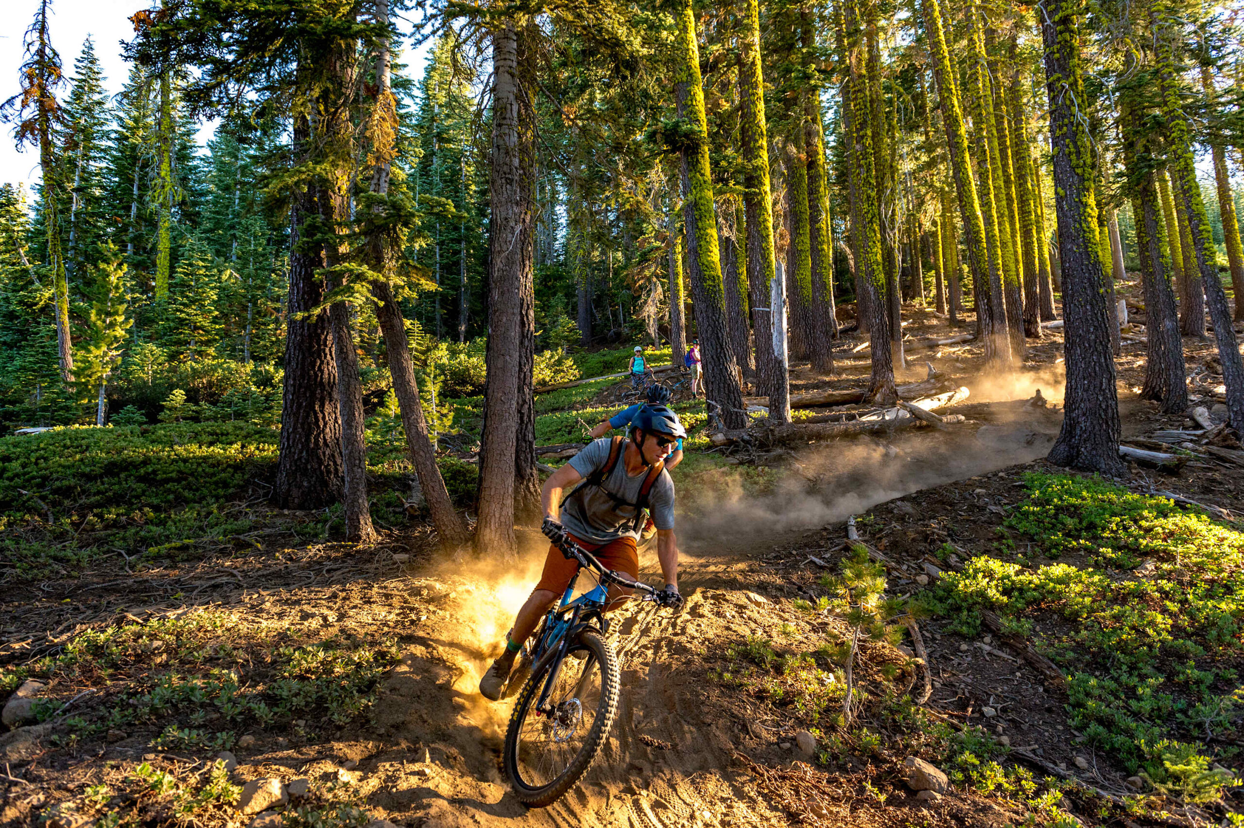 Mountain biker navigating a forest trail in Truckee, capturing adventure near a cozy vacation rental.