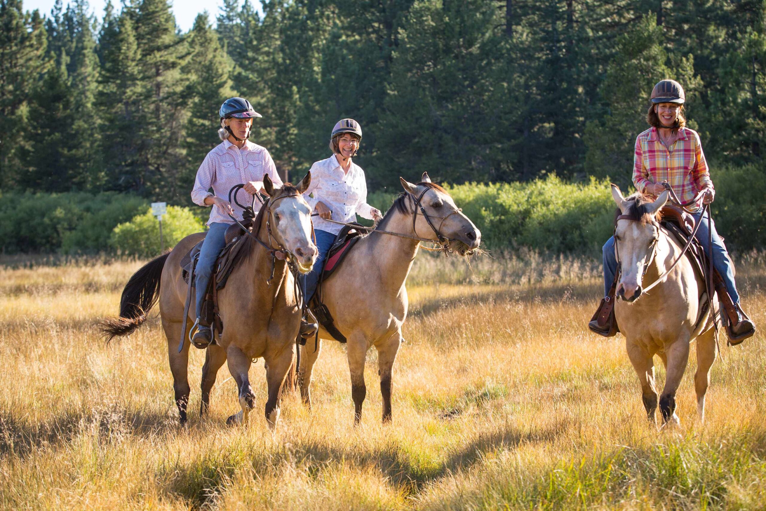 People horseback riding through a sunny meadow near a Truckee vacation rental, surrounded by lush trees.