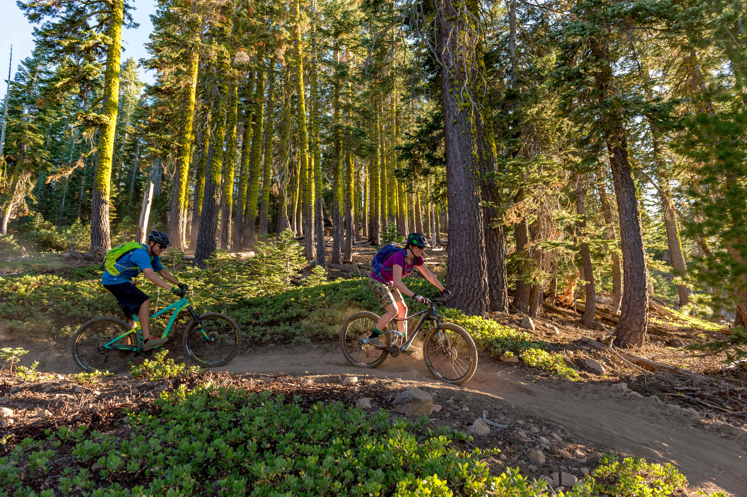 Two cyclists ride through a wooded trail in Truckee, near a vacation rental, under the dappled sunlight.