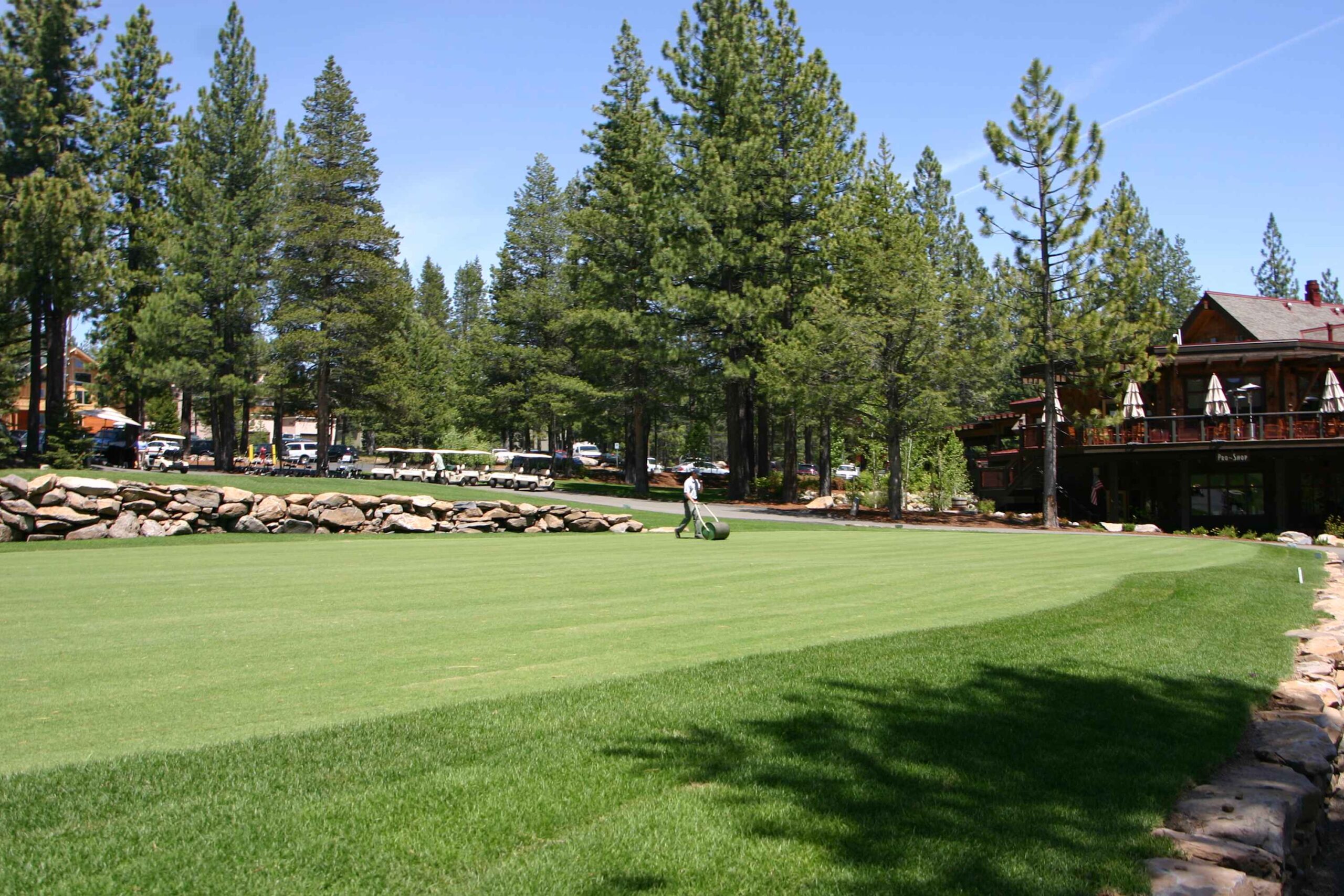 Truckee vacation rental with lush green lawn, surrounded by tall pine trees and a rustic wooden building.
