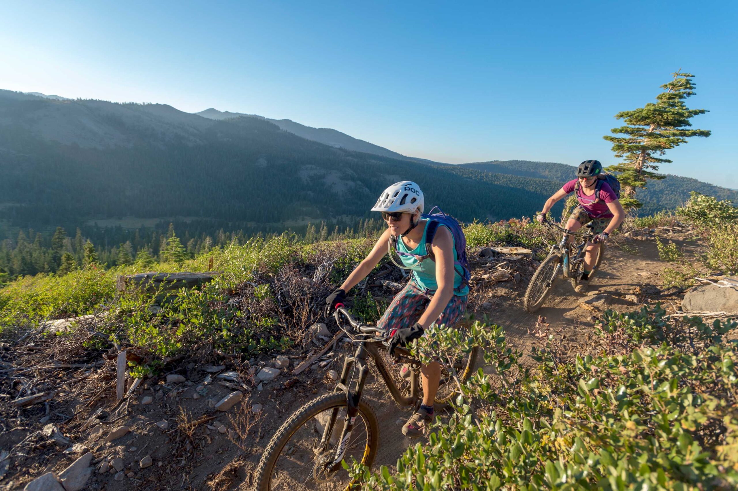 Two cyclists on a mountain trail in Truckee, enjoying a vacation rental experience with stunning scenic views.