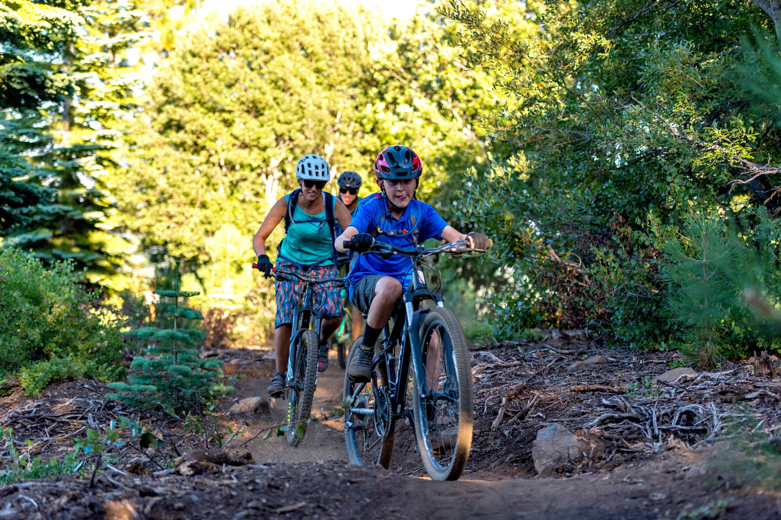 Three people biking on a forest trail near a Truckee vacation rental, surrounded by lush greenery.