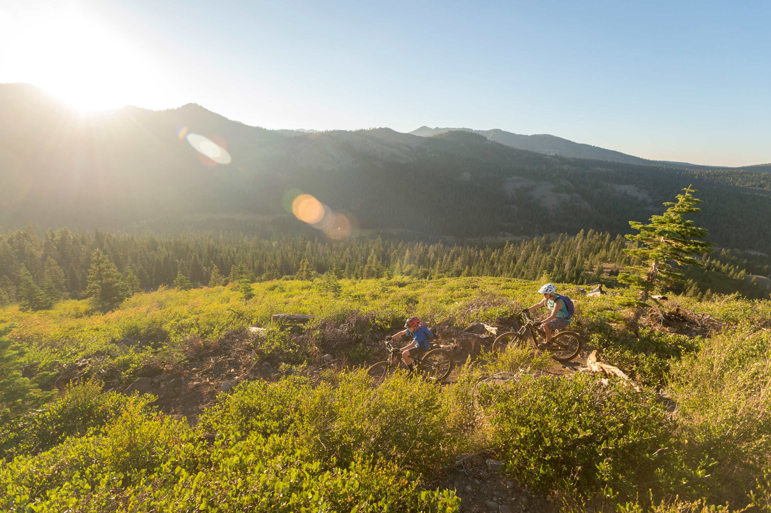 Two people mountain biking at sunset in Truckee's lush landscape, ideal for a vacation rental getaway.
