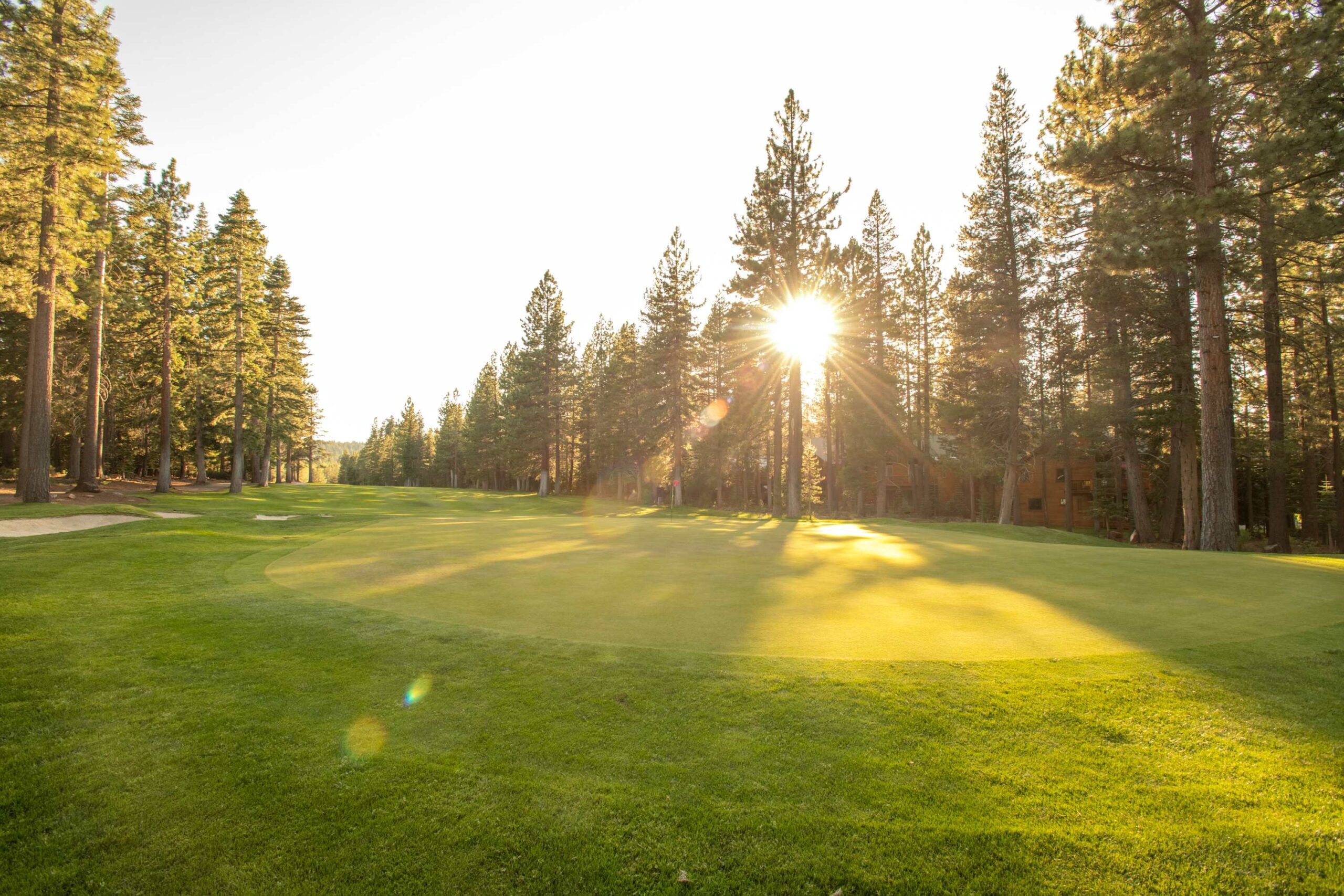 Sunset over a golf course near vacation rentals in Truckee, surrounded by tall pine trees and lush greenery.