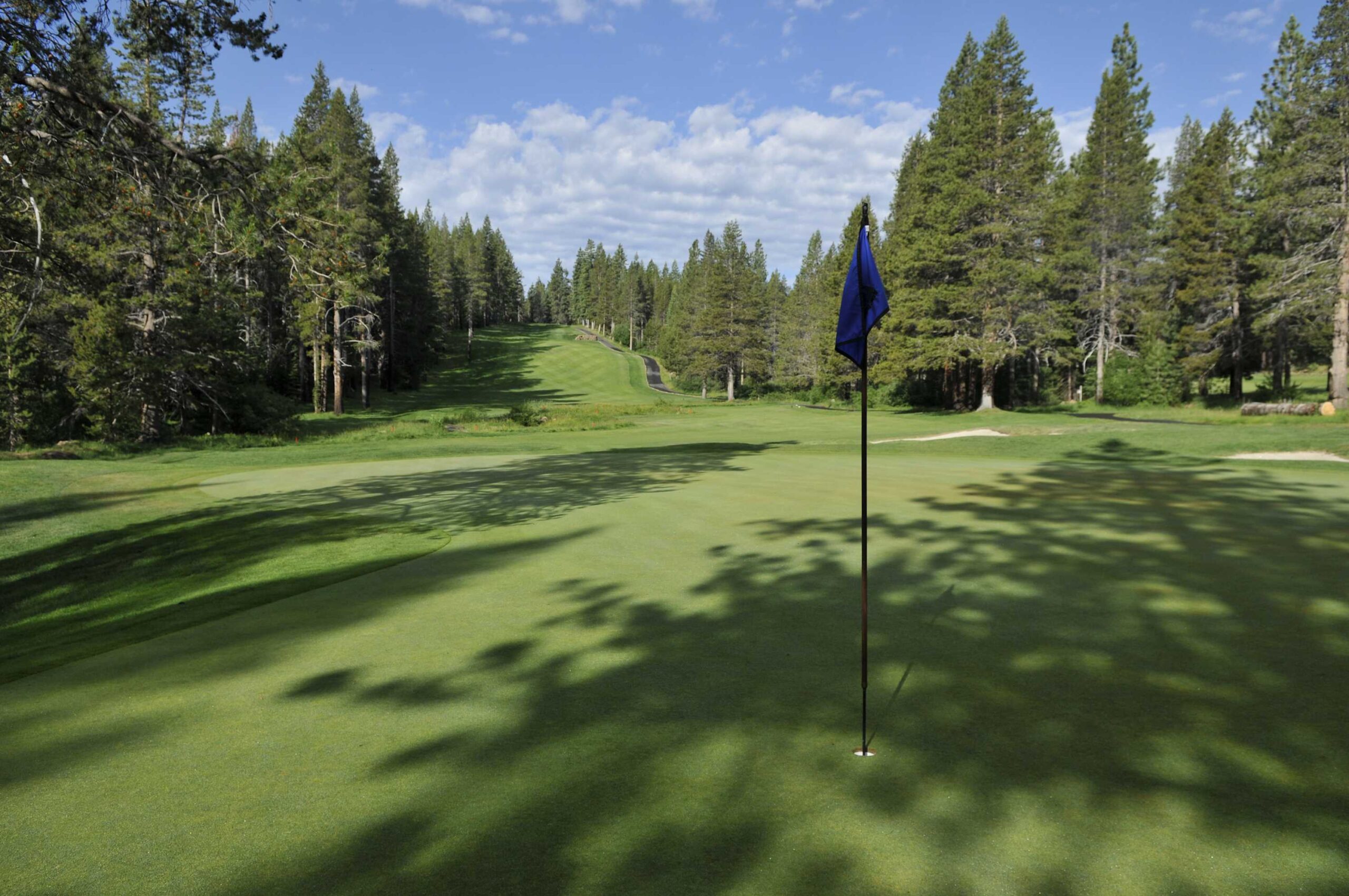 Golf course near Truckee, surrounded by pine trees, perfect for a vacation rental getaway.