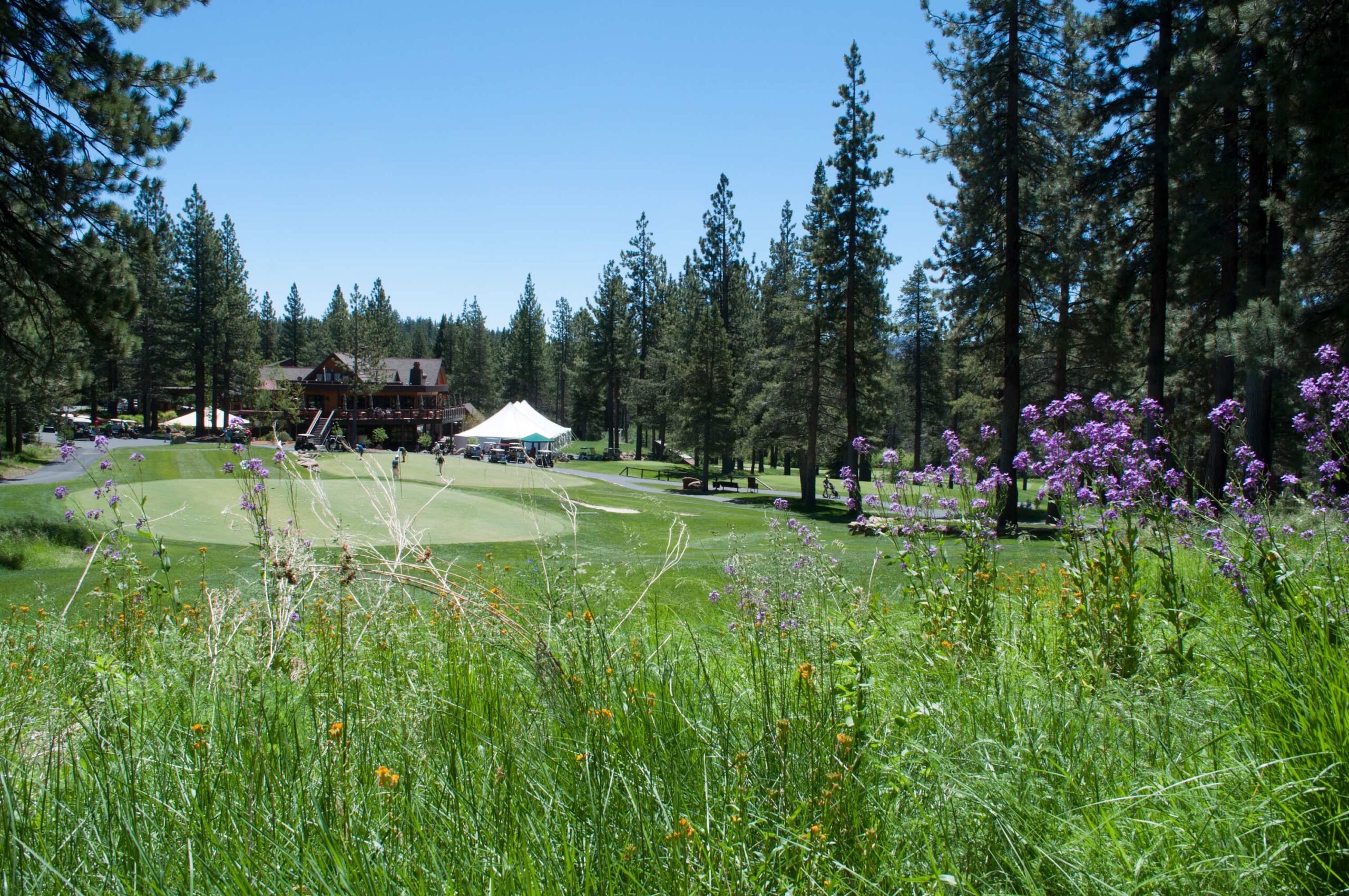 A rustic vacation rental in Truckee, surrounded by pine trees, colorful wildflowers, and a green lawn on a sunny day.