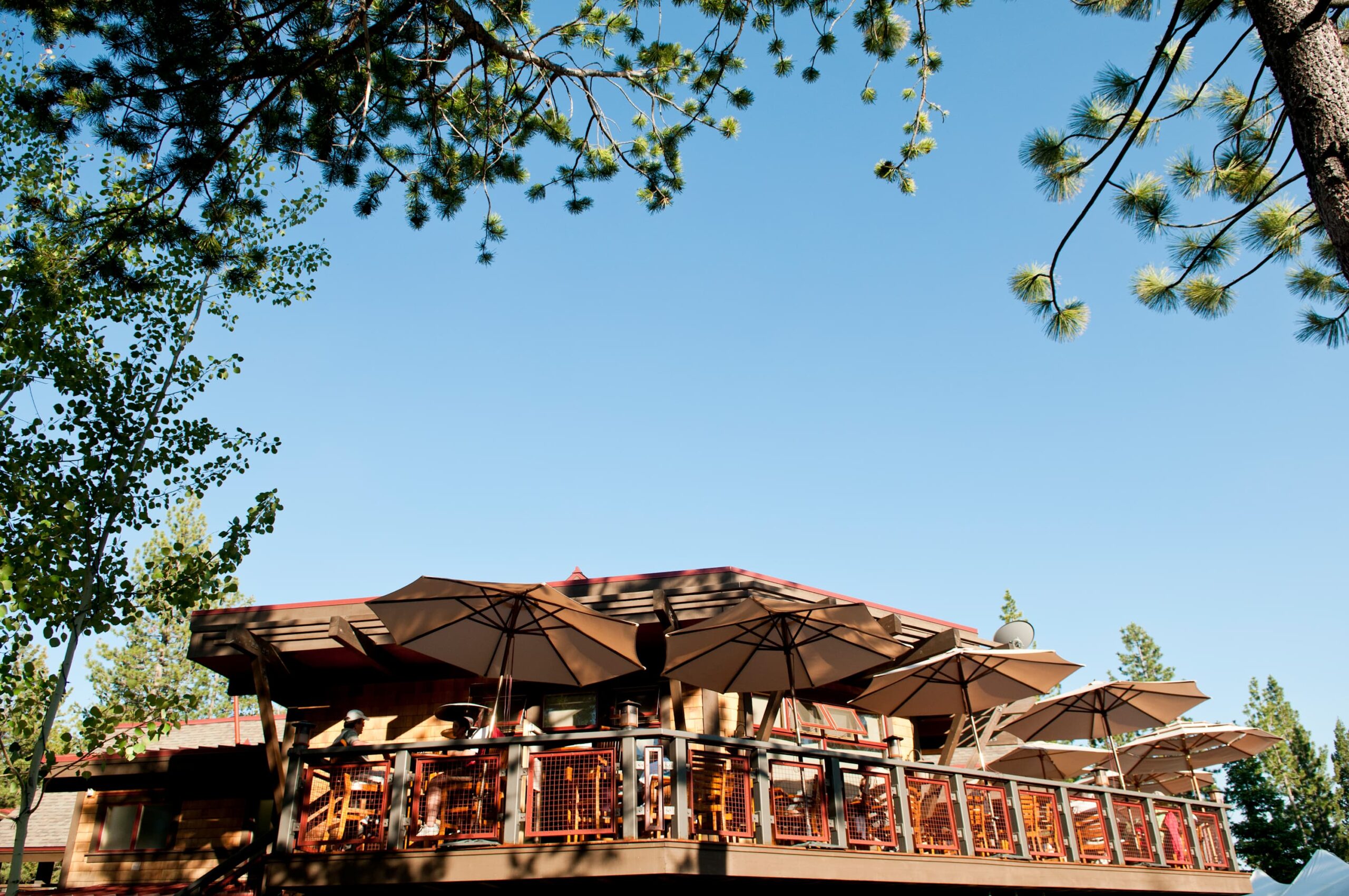 Vacation rental in Truckee with a sunny patio, umbrellas, and chairs amid tall trees under a clear blue sky.