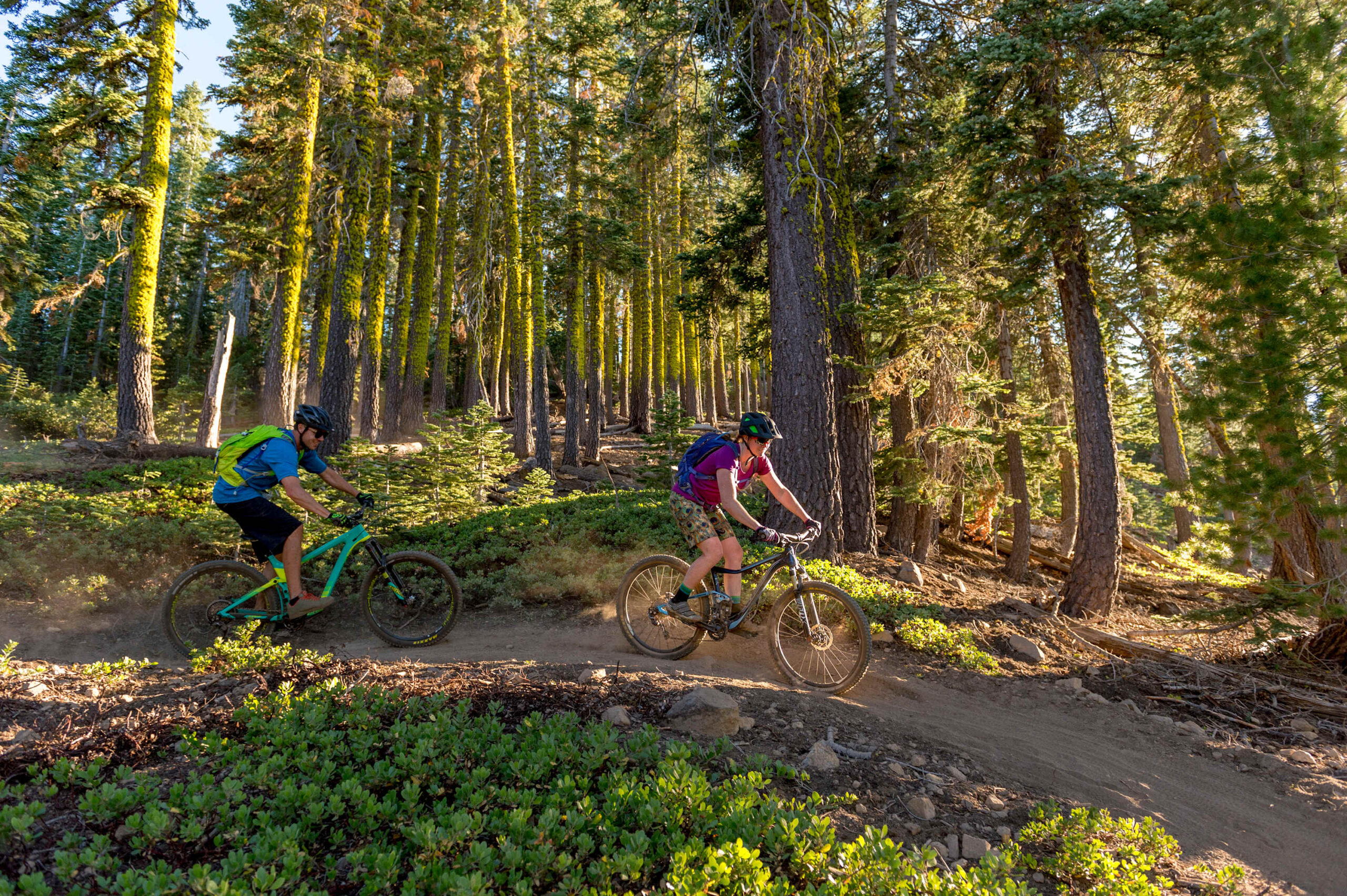 Mountain bikers on a forest trail near Truckee, perfect for an adventure-packed vacation rental getaway.