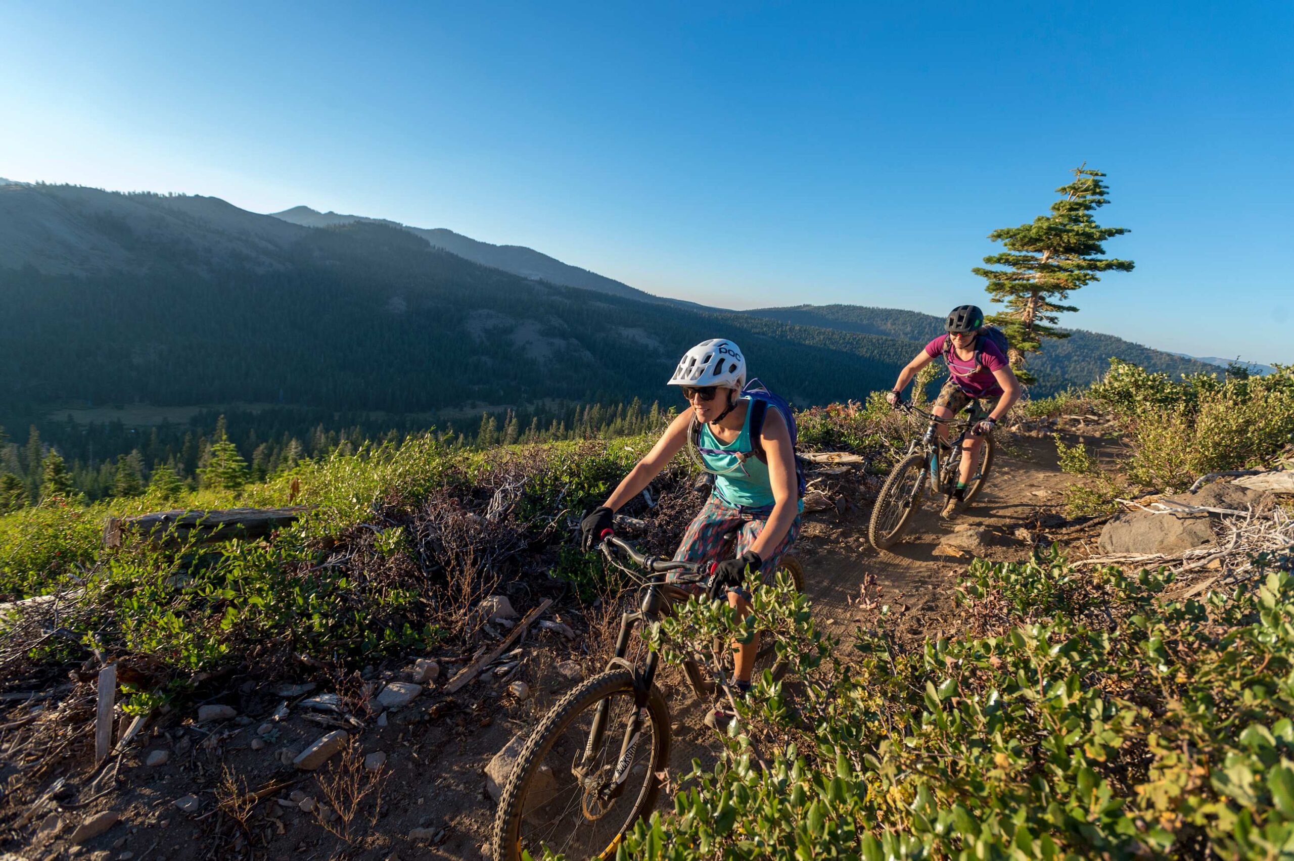 Two people mountain biking on a scenic trail near Truckee, perfect for adventure seekers staying at a vacation rental.