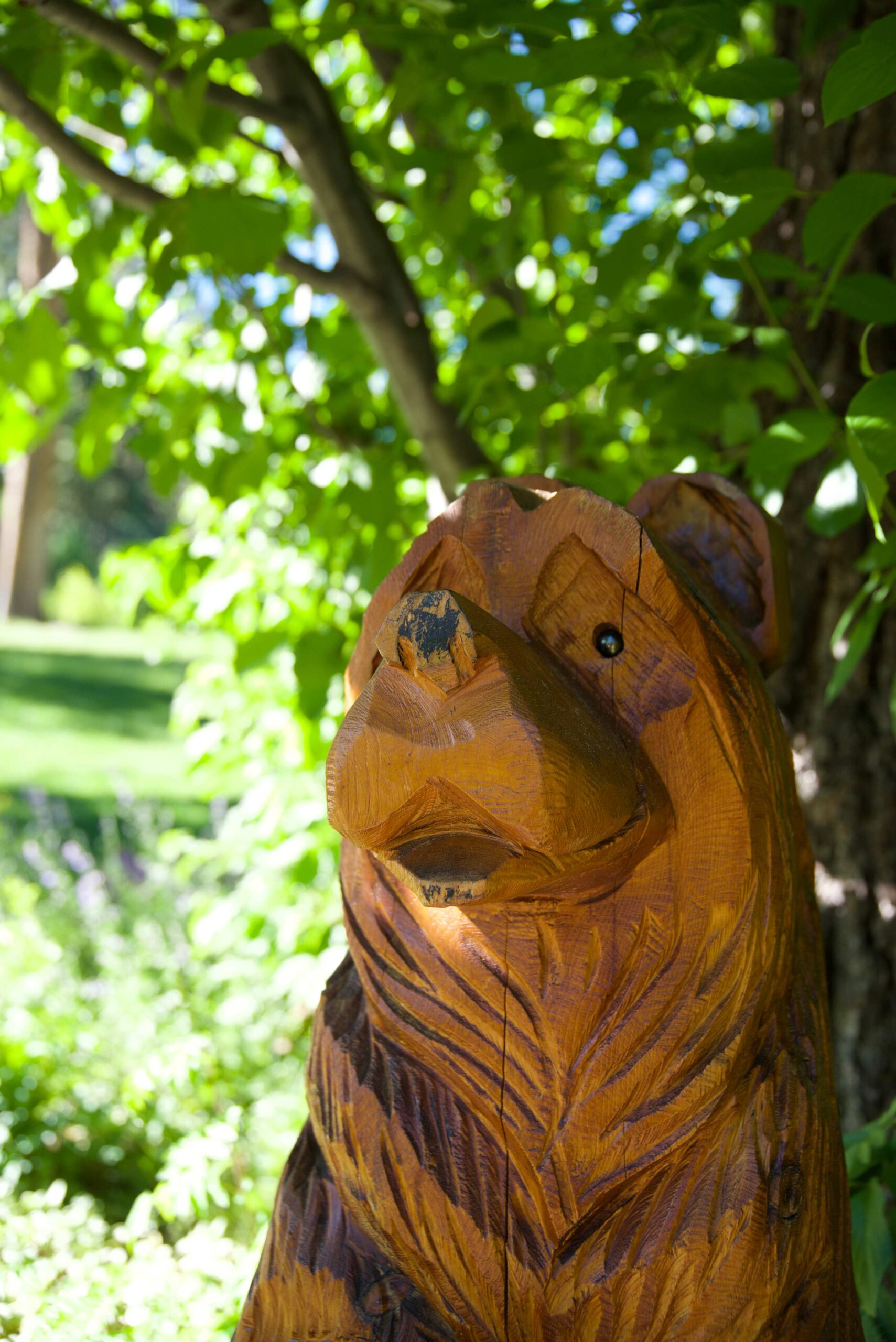 Wooden bear sculpture in lush garden outside a Truckee vacation rental. Bright green leaves provide shady backdrop.