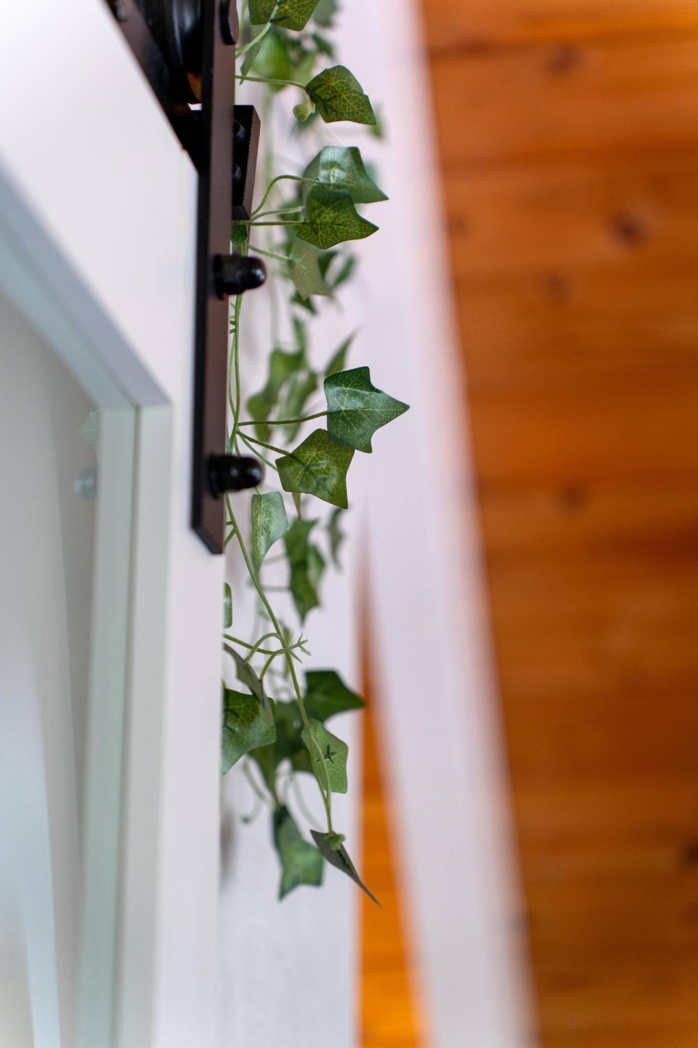 Close-up of greenery on a sliding door inside a Tahoe Vista vacation rental, with wooden ceiling background.