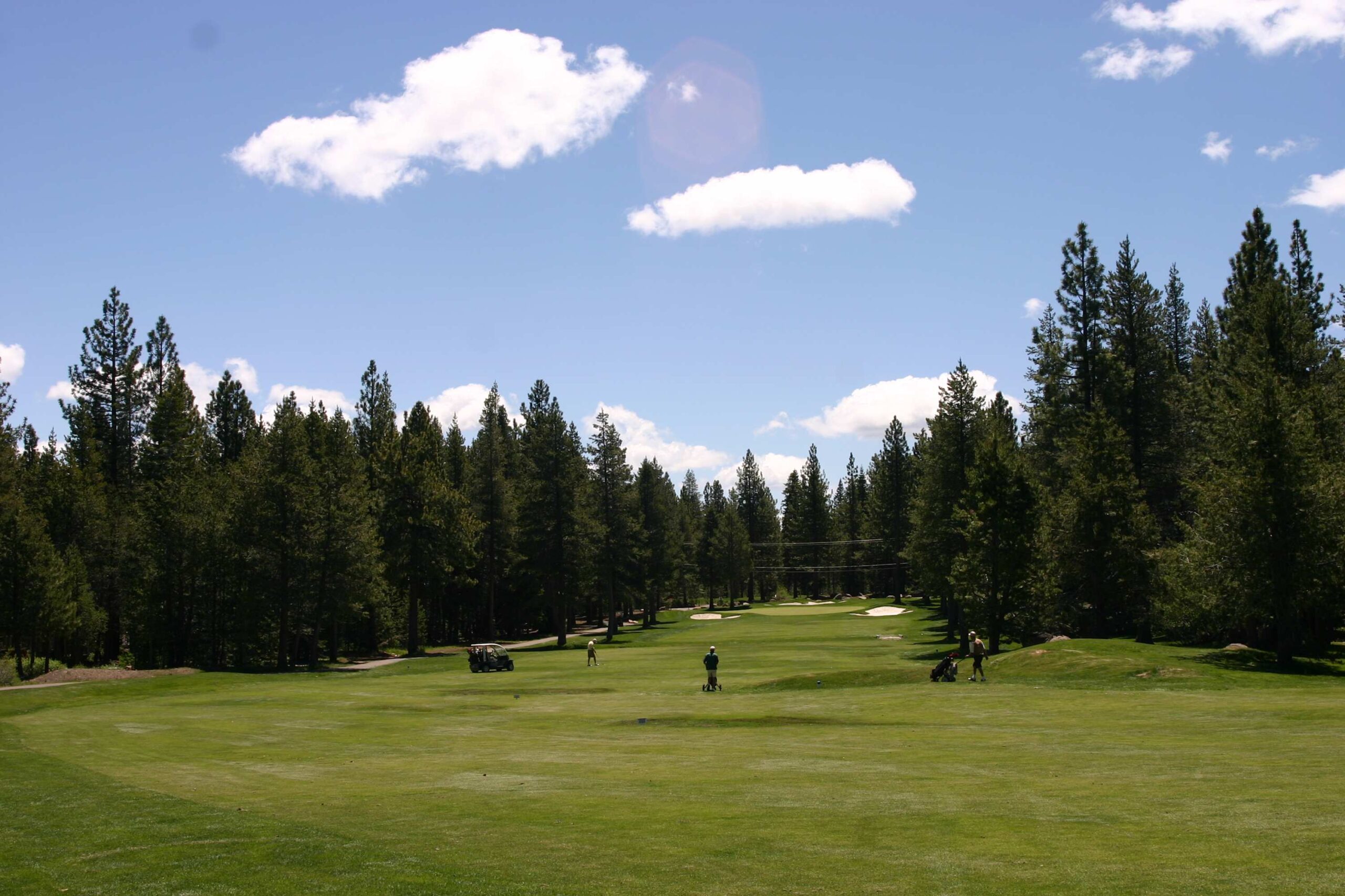 Golf course view near a vacation rental in Truckee, surrounded by tall pine trees under a clear blue sky.