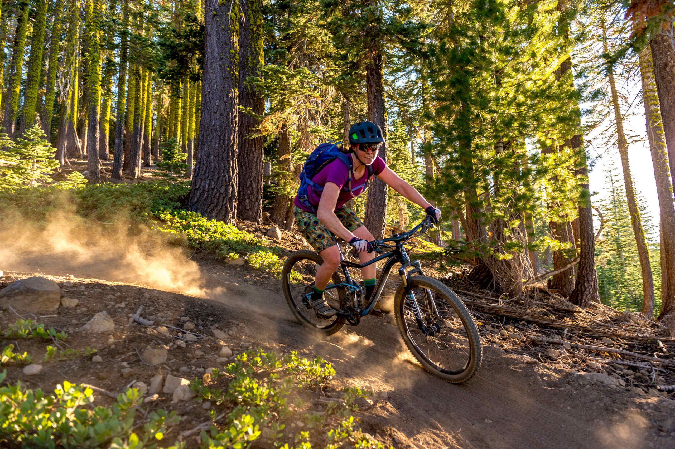 Person mountain biking through forest trail in Truckee, ideal for a vacation rental experience.