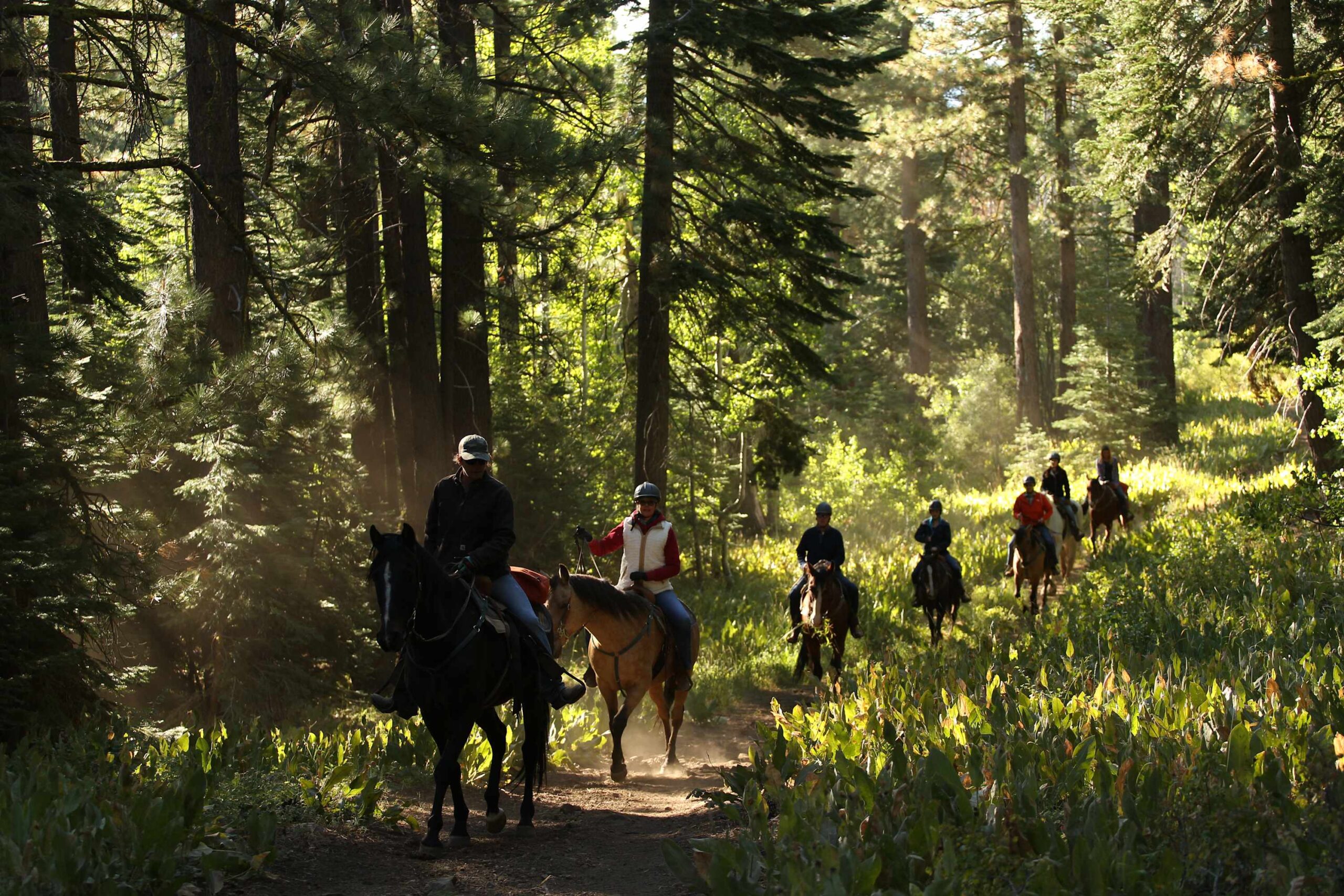 Horseback riders on a forest trail near Truckee, perfect for a vacation rental adventure.