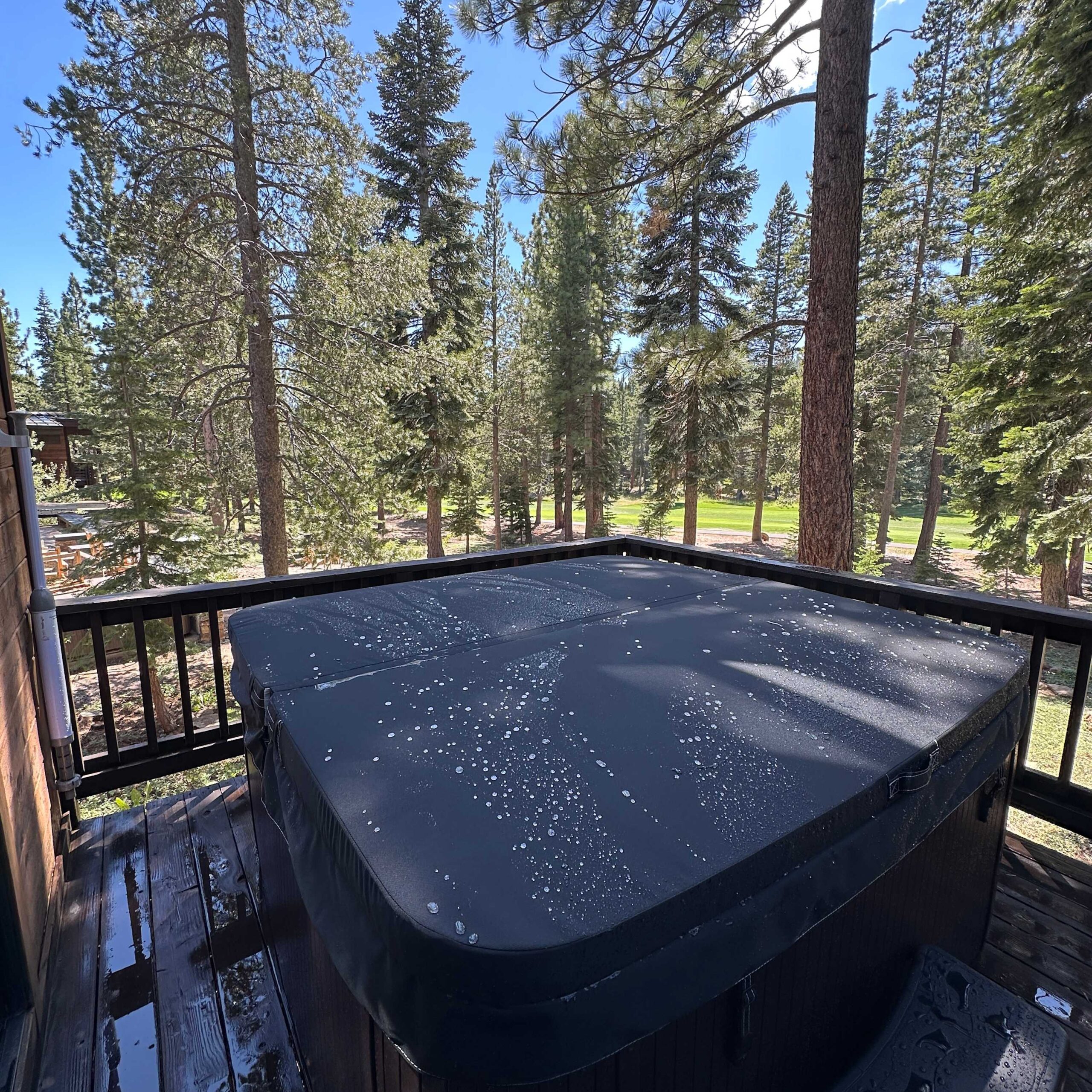 Hot tub on the deck of a vacation rental in Truckee, surrounded by tall pine trees and a sunny forest view.