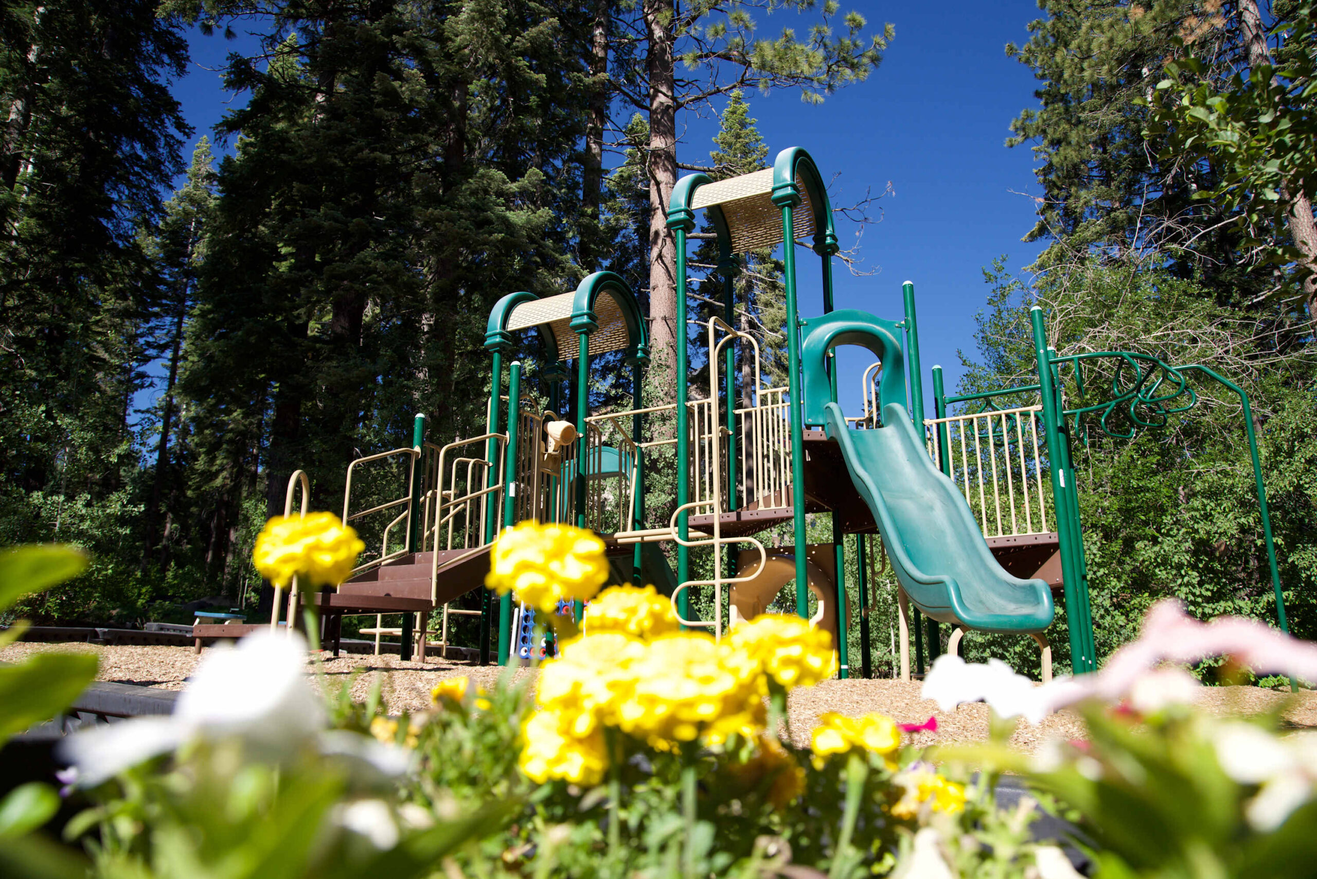 Playground surrounded by trees and flowers at a vacation rental in Truckee under a clear blue sky.