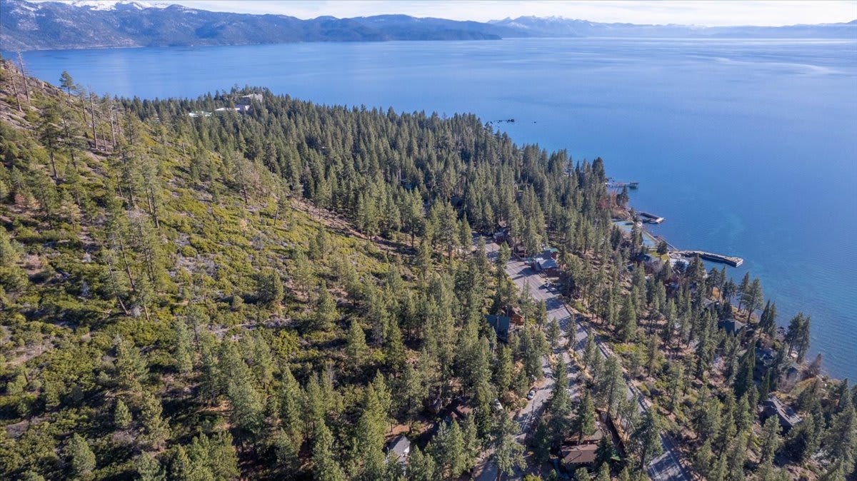 Aerial view of Kings Beach vacation rental area with pine trees along the lake.