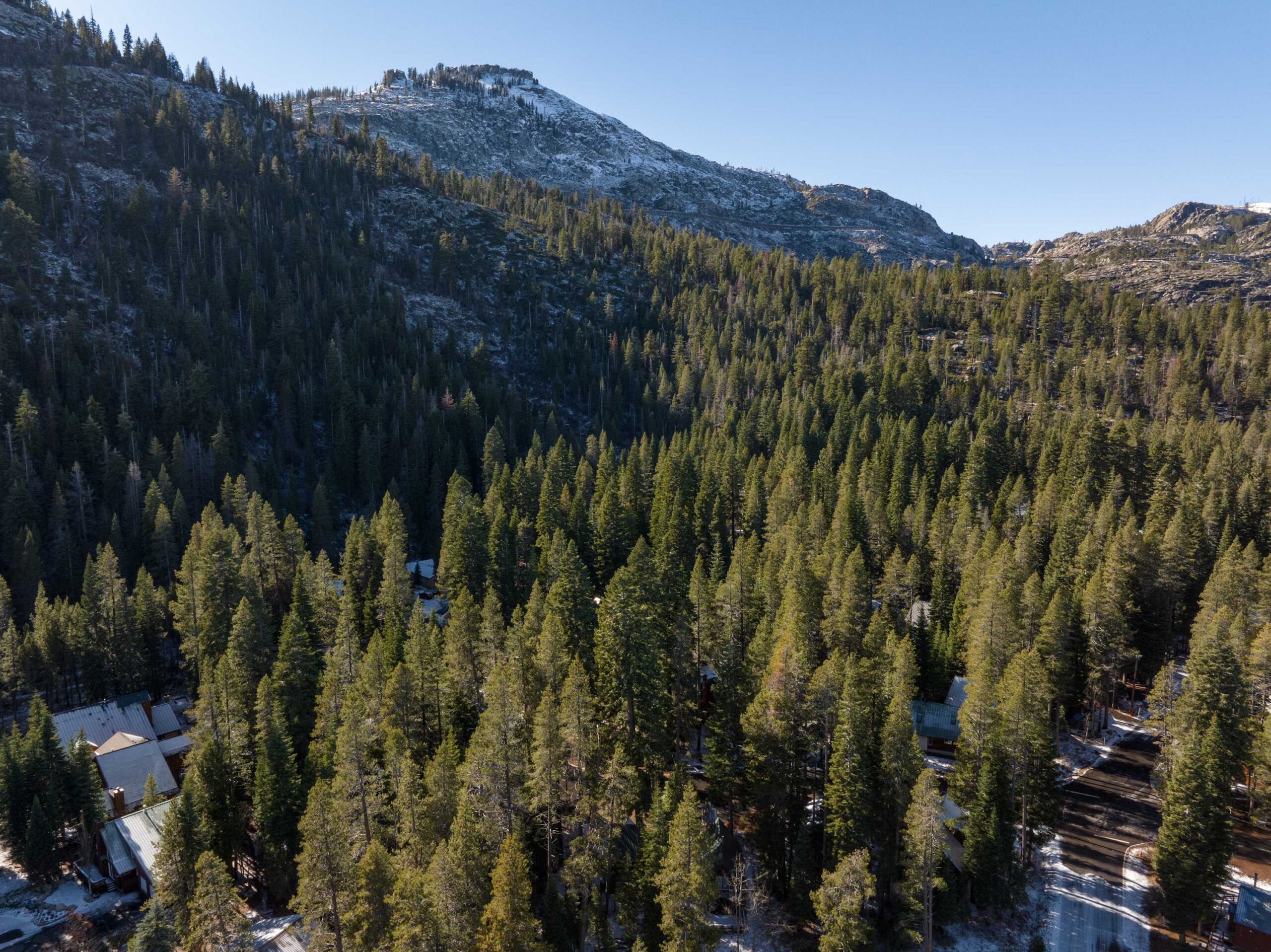 Aerial view of dense forest surrounding vacation rentals in Truckee, nestled beneath a majestic mountain under a clear sky.