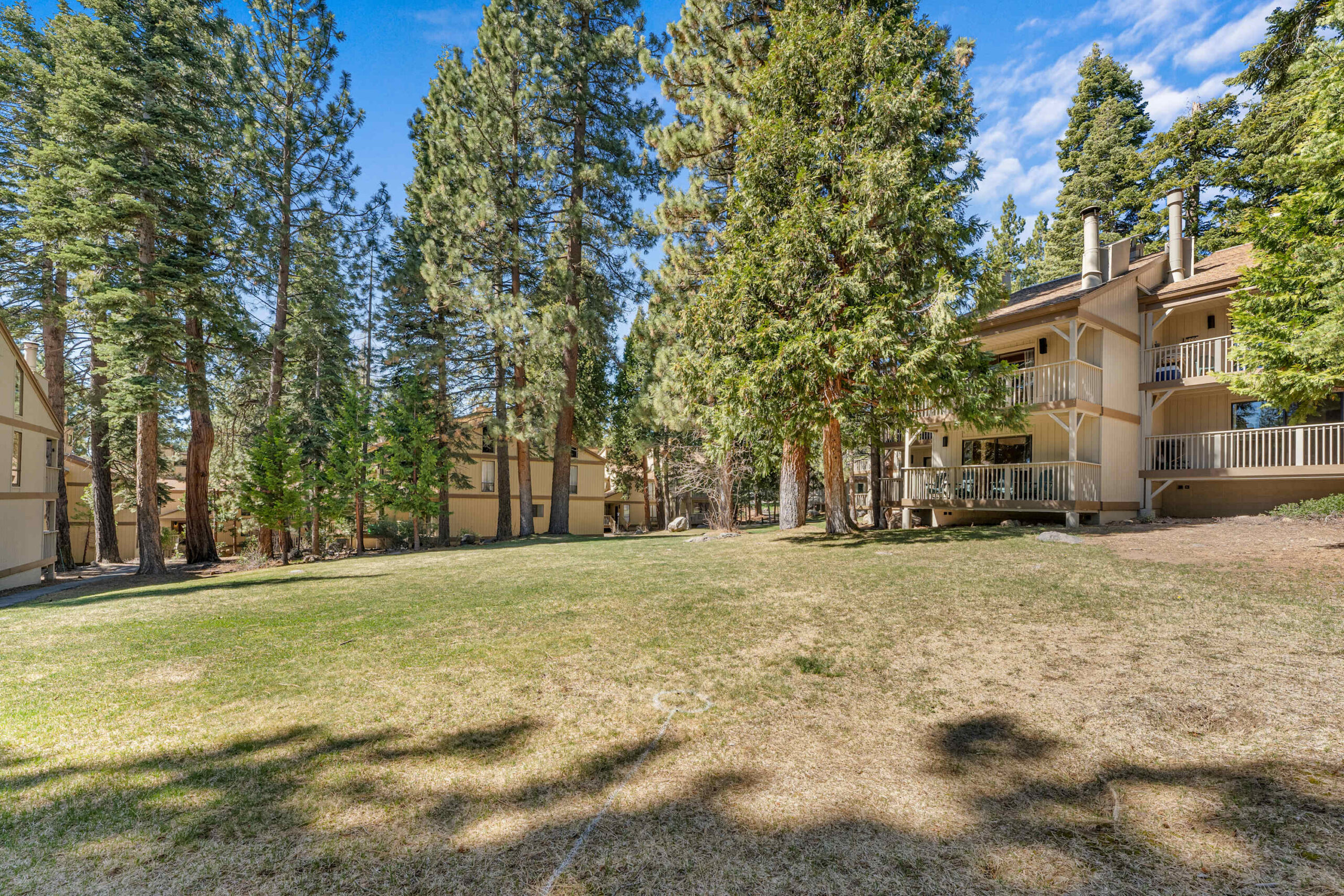 Vacation rental in Kings Beach surrounded by tall pine trees and natural scenery.