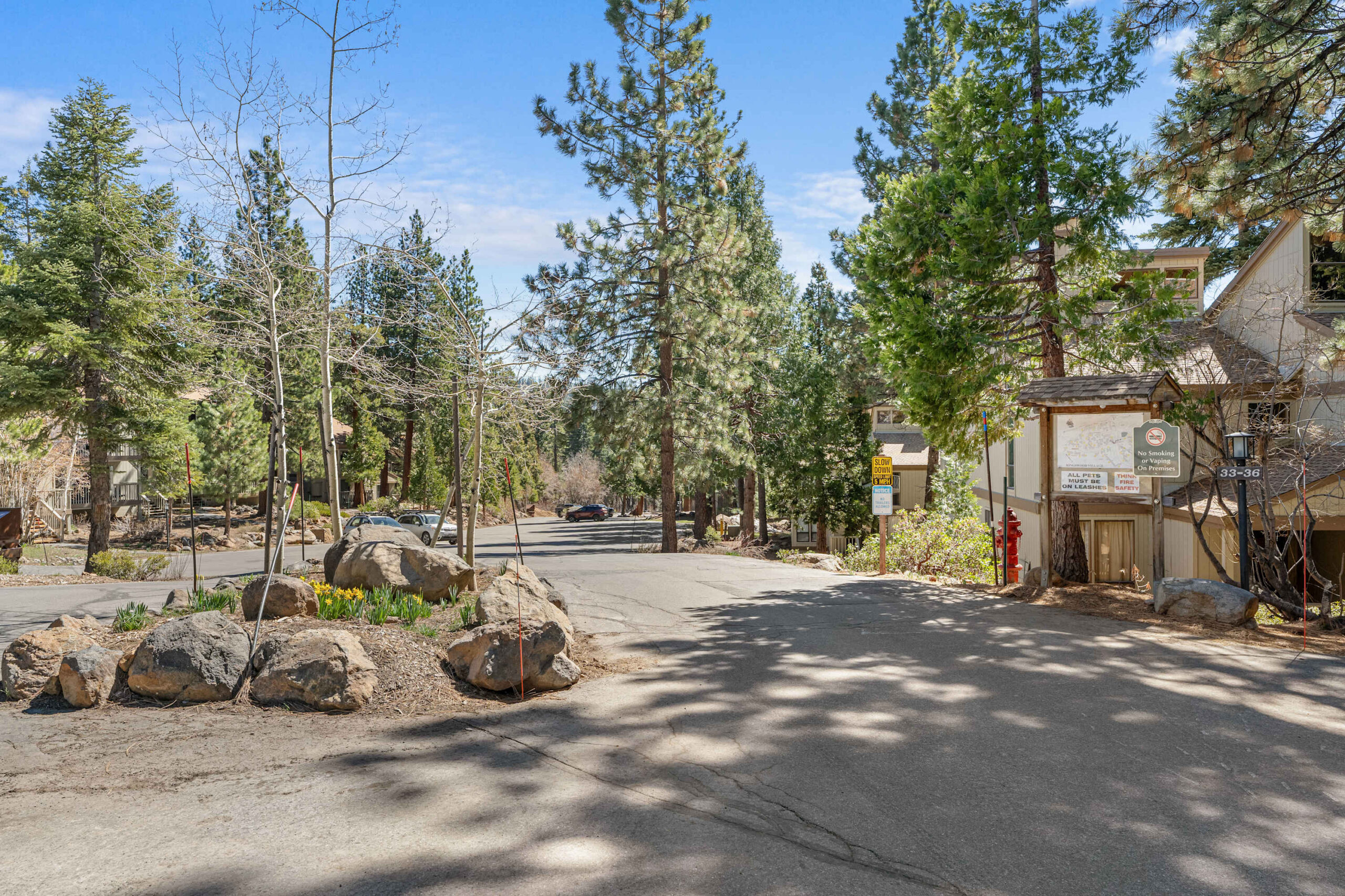 Tree-lined street with vacation rentals in Kings Beach, featuring a mix of greenery and rustic architecture.