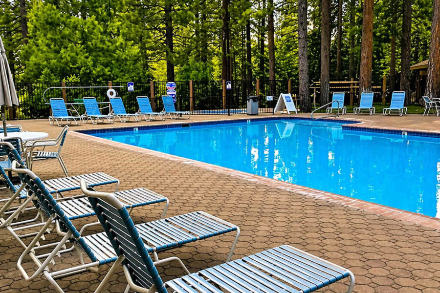Outdoor pool with lounge chairs surrounded by tall trees at a Kings Beach vacation rental.