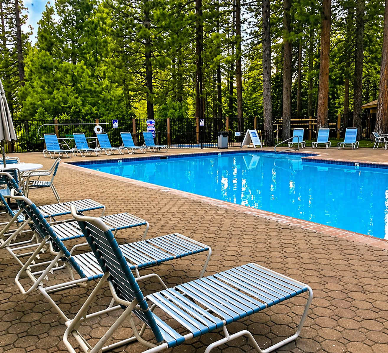 Outdoor pool with lounge chairs surrounded by tall trees at a Kings Beach vacation rental.