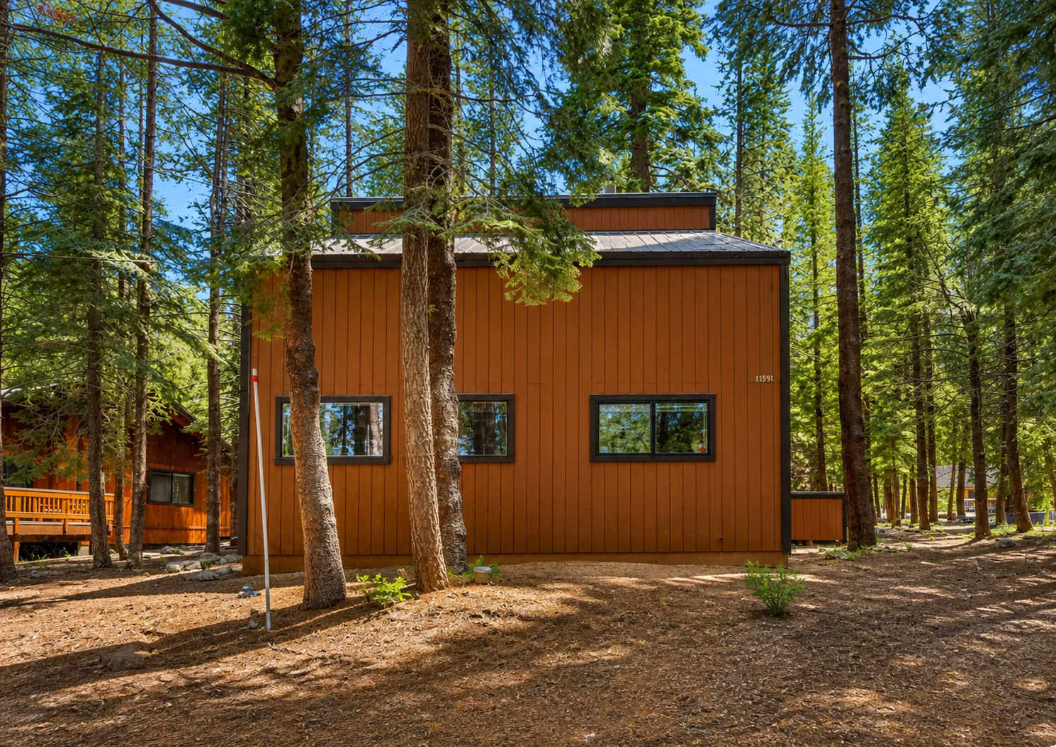Wooden vacation rental nestled among pine trees in Truckee, with three rectangular windows and a forest backdrop.