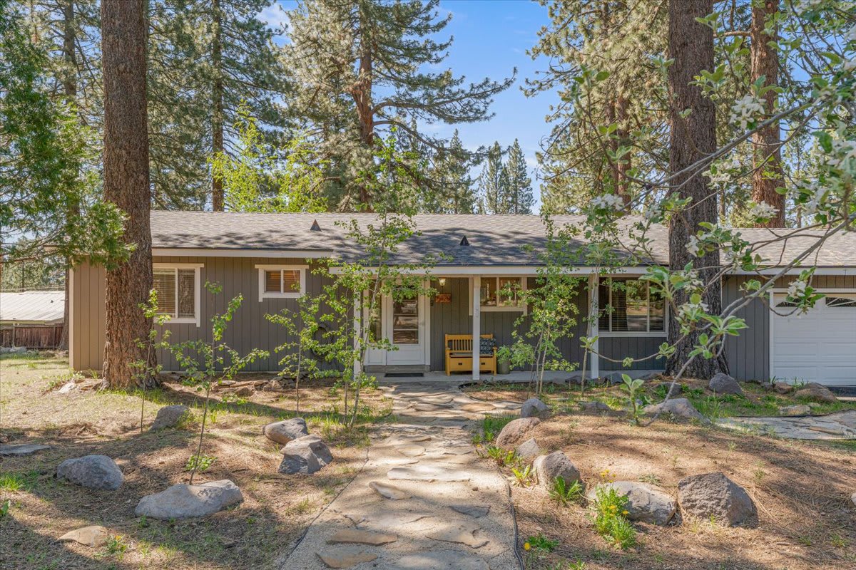 Cozy vacation rental in Truckee, surrounded by tall trees, featuring a rustic exterior and a stone walkway.