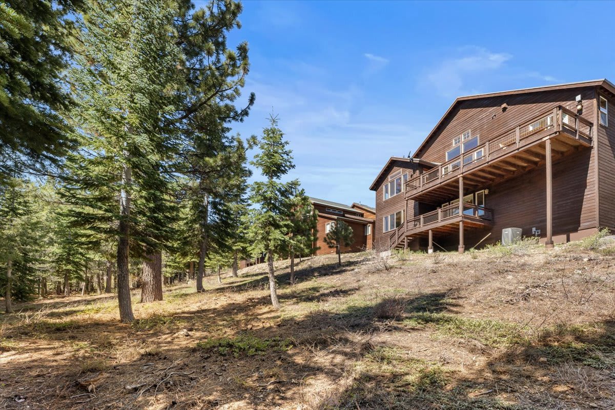 Vacation rental cabin in Truckee surrounded by lush trees and clear blue sky, perfect for a peaceful getaway.