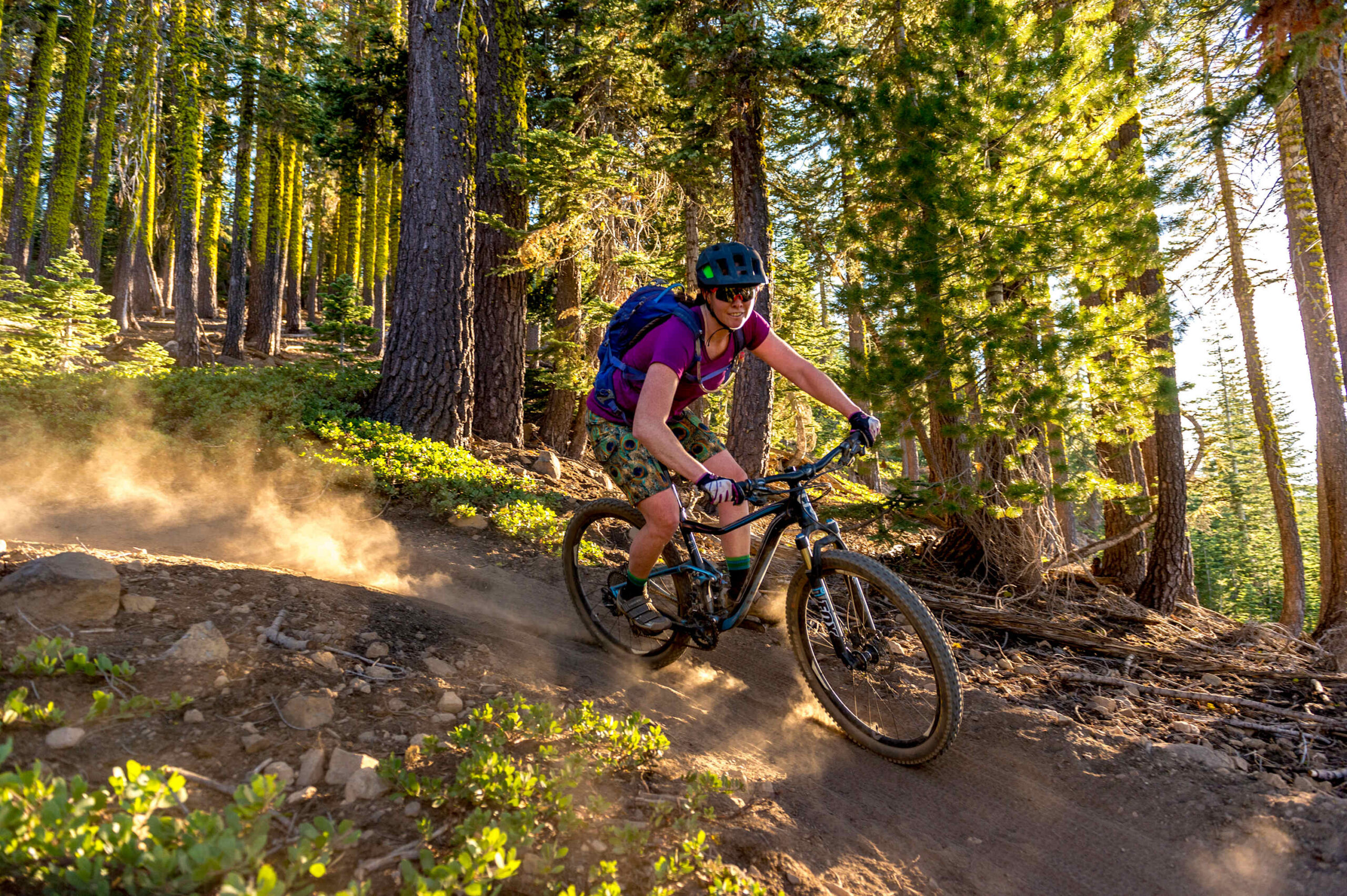 Mountain biker on a dusty trail in Truckee forest, perfect for a vacation rental adventure.
