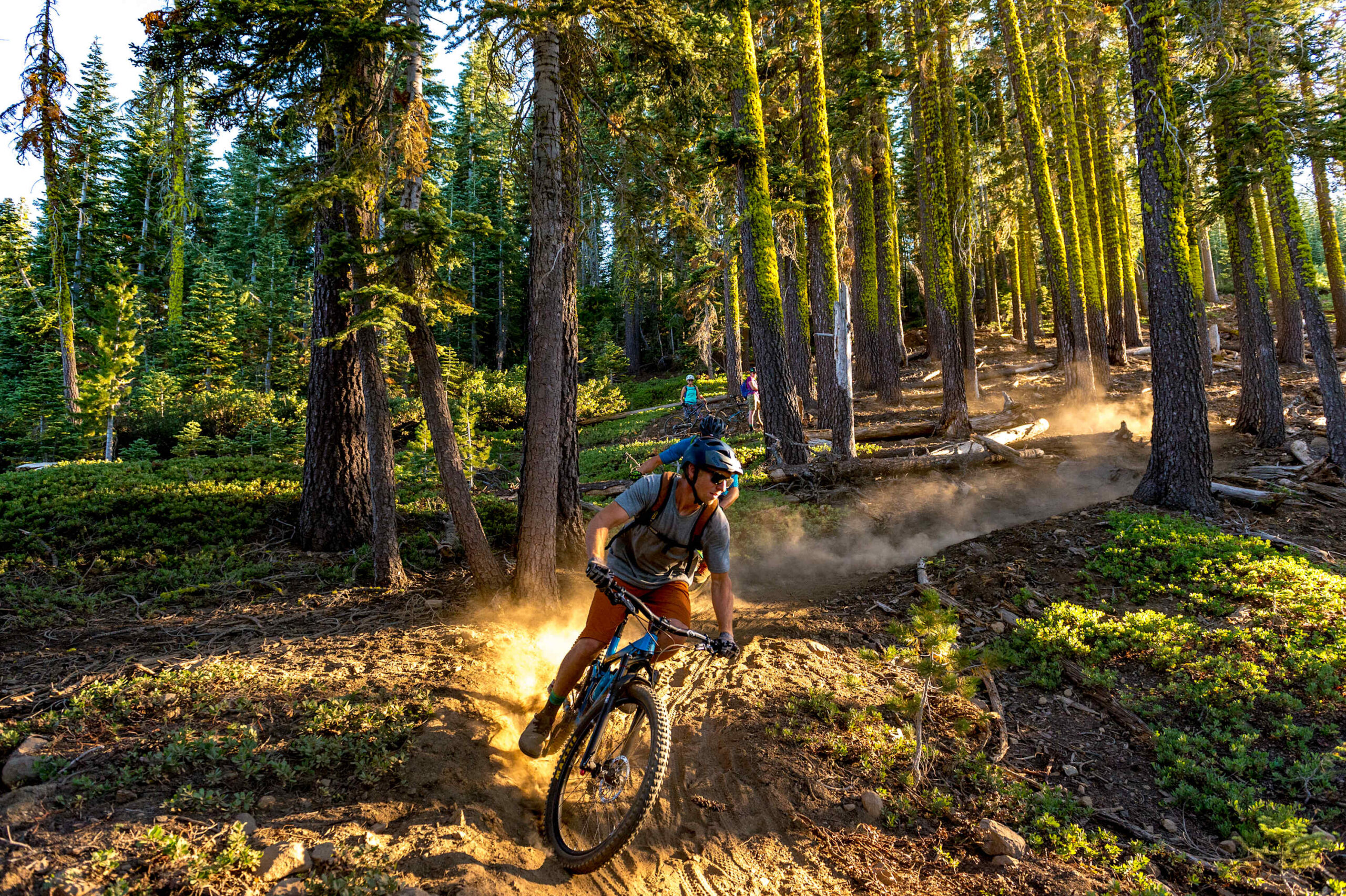 Mountain biker on a forest trail near Truckee, enjoying an outdoor adventure from a nearby vacation rental.
