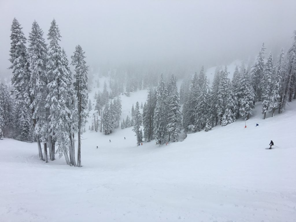 skiing on snowy day lake tahoe